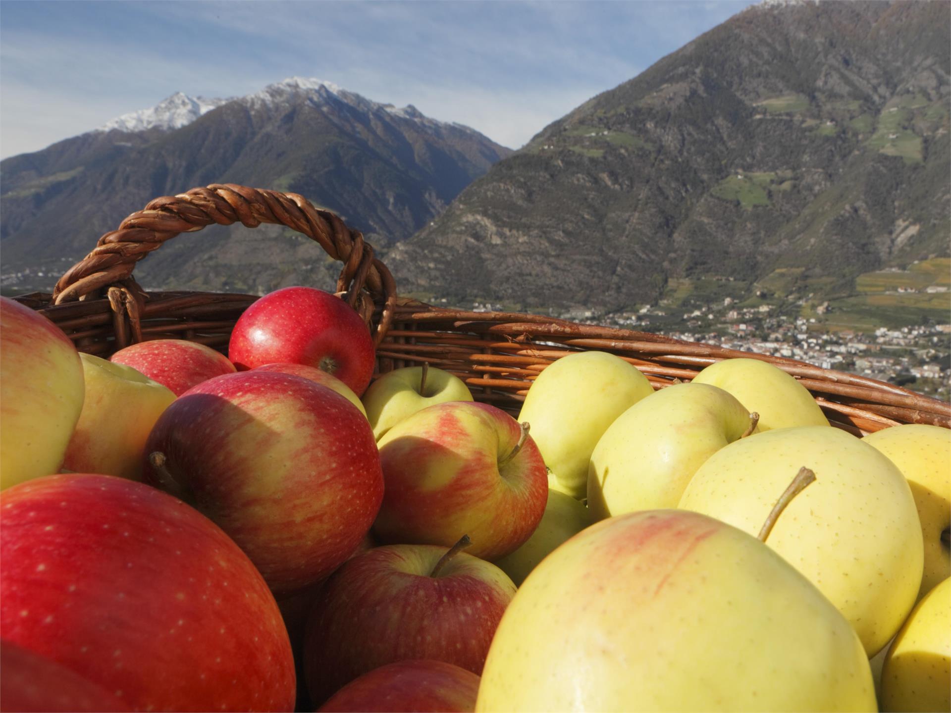 Hafner Obst & Gemüse Detailhandel Lana 1 suedtirol.info