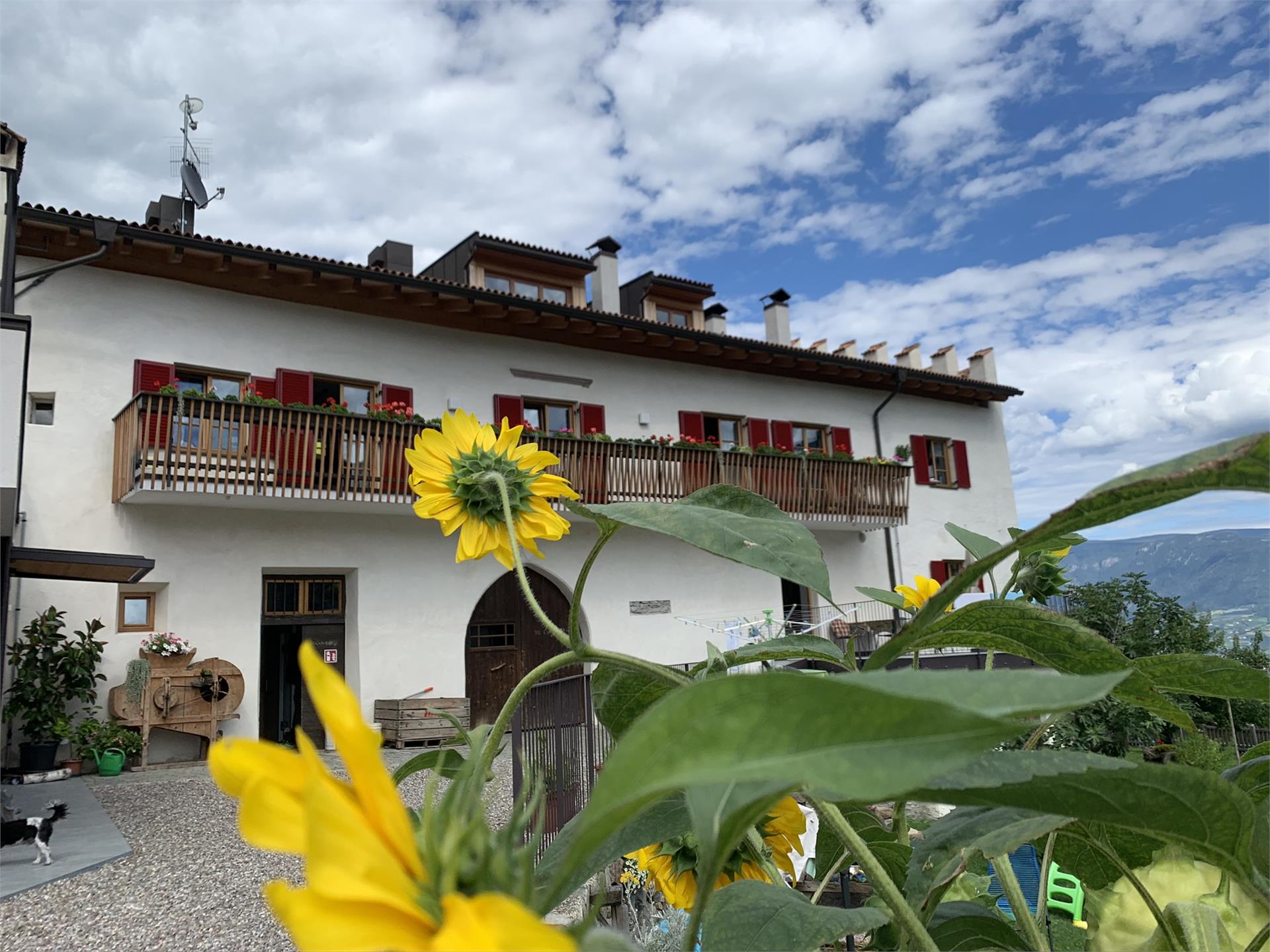 Negozio del maso Residenza Mairhof Parcines 6 suedtirol.info