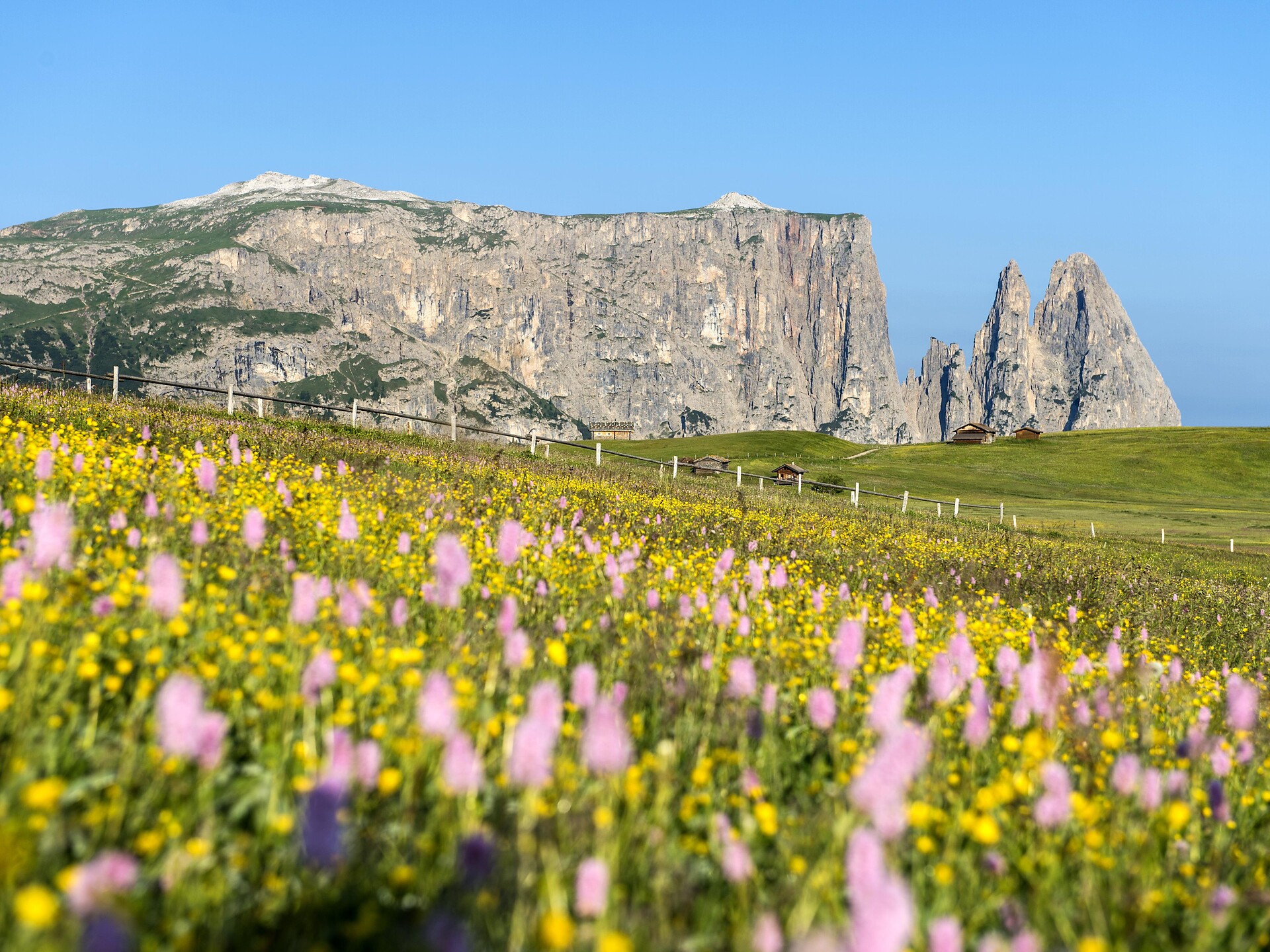 Sentiero Hans e Paula Steger