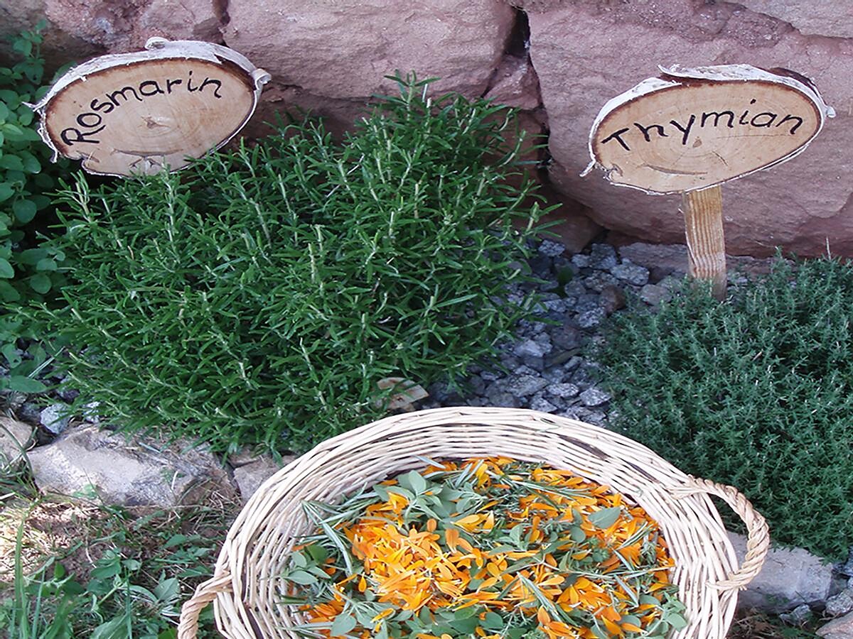 Herbal variety