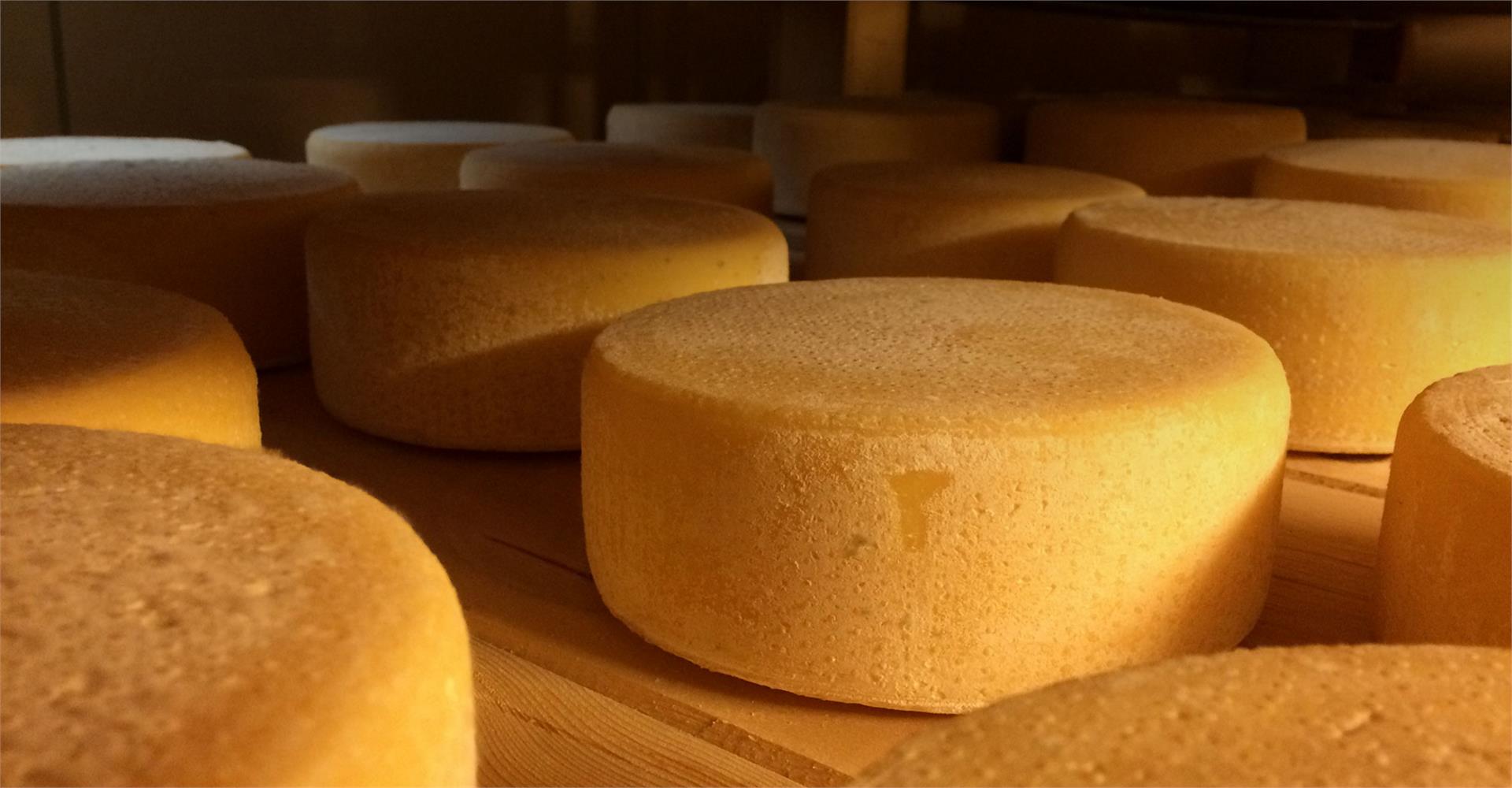 Dairy farm Oberhof Rasen-Antholz/Rasun Anterselva 1 suedtirol.info