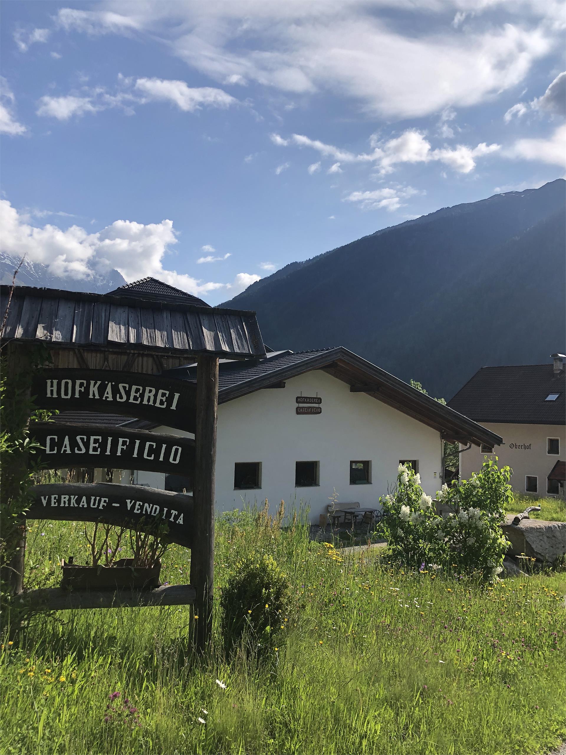 Dairy farm Oberhof Rasen-Antholz/Rasun Anterselva 3 suedtirol.info