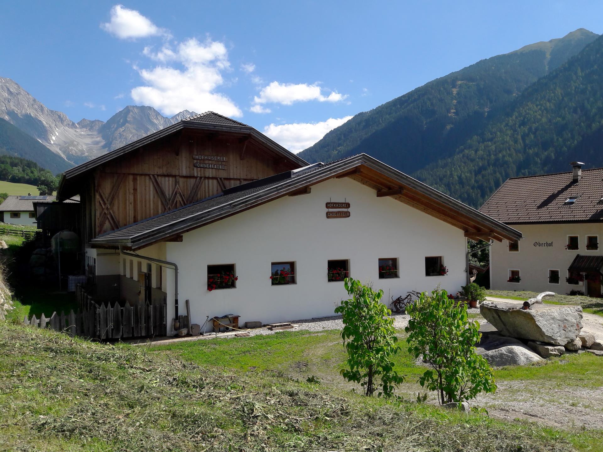 Dairy farm Oberhof Rasen-Antholz/Rasun Anterselva 4 suedtirol.info