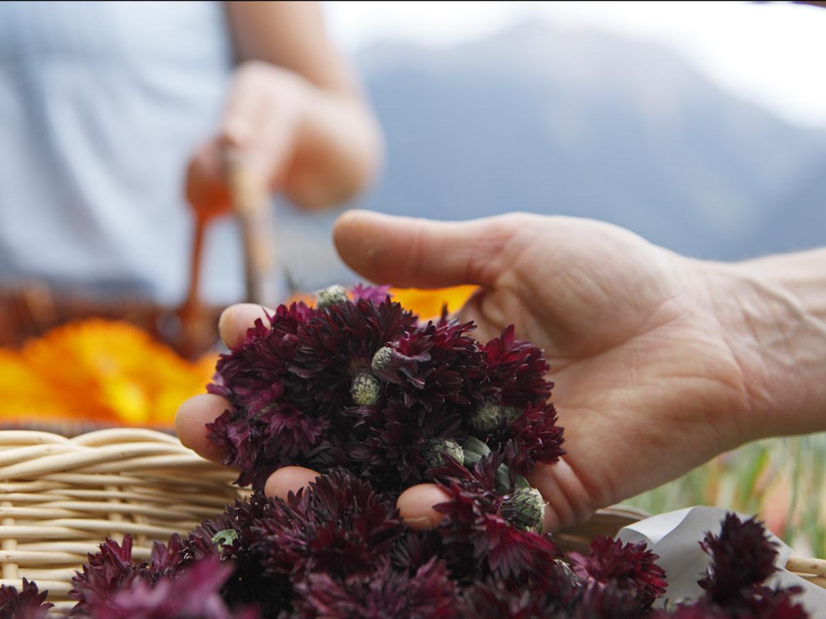 Zum Oberen Hof Farm shop Ulten/Ultimo 1 suedtirol.info