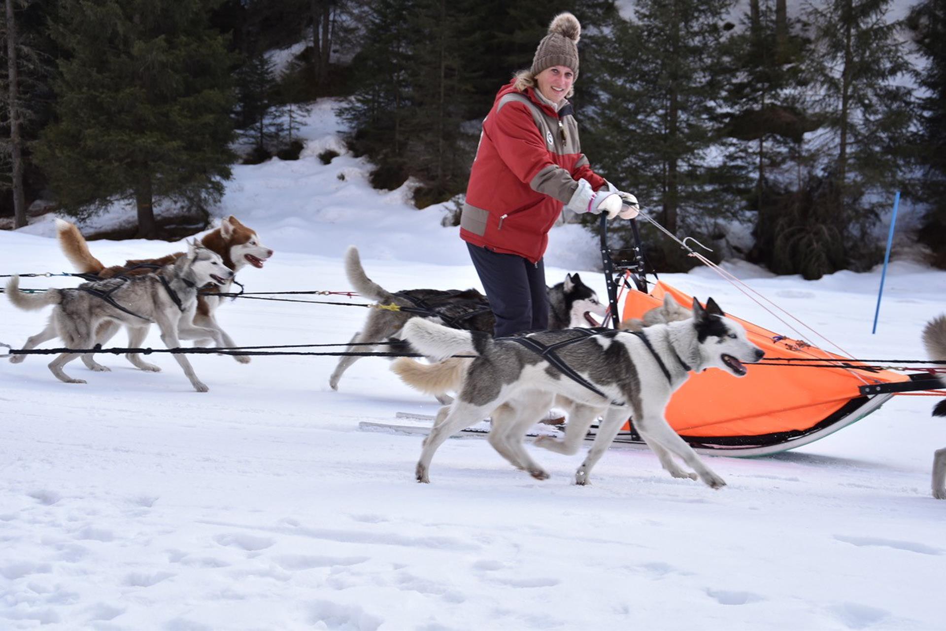 Huskysleddog San Martin 2 suedtirol.info