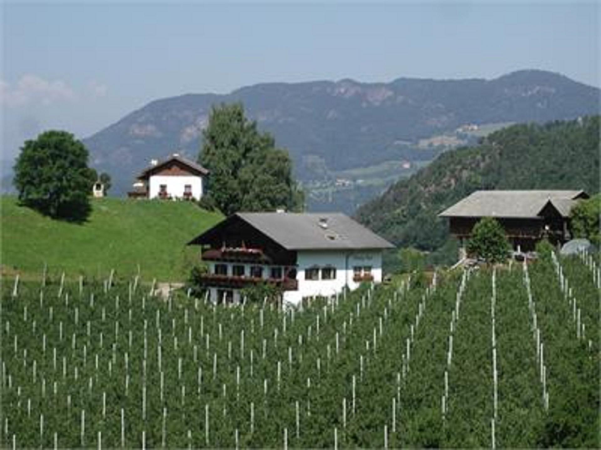 Hanig Hof Fiè allo Sciliar 2 suedtirol.info