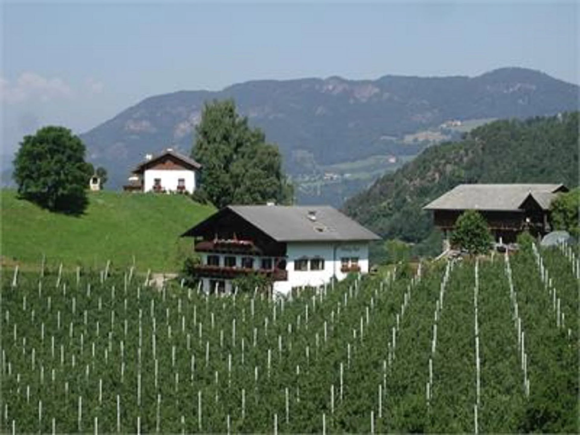 Hanig Hof Schnapsbrennerei Völs am Schlern 2 suedtirol.info