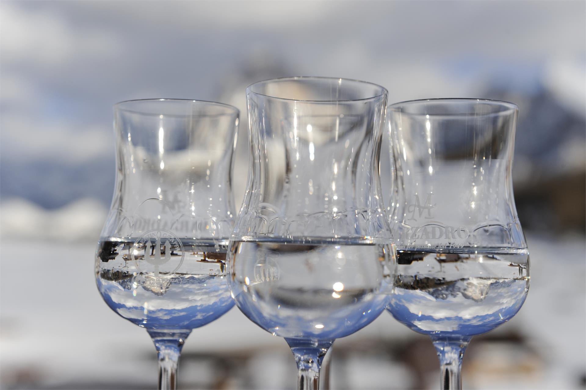 Hanig Hof Fiè allo Sciliar 4 suedtirol.info