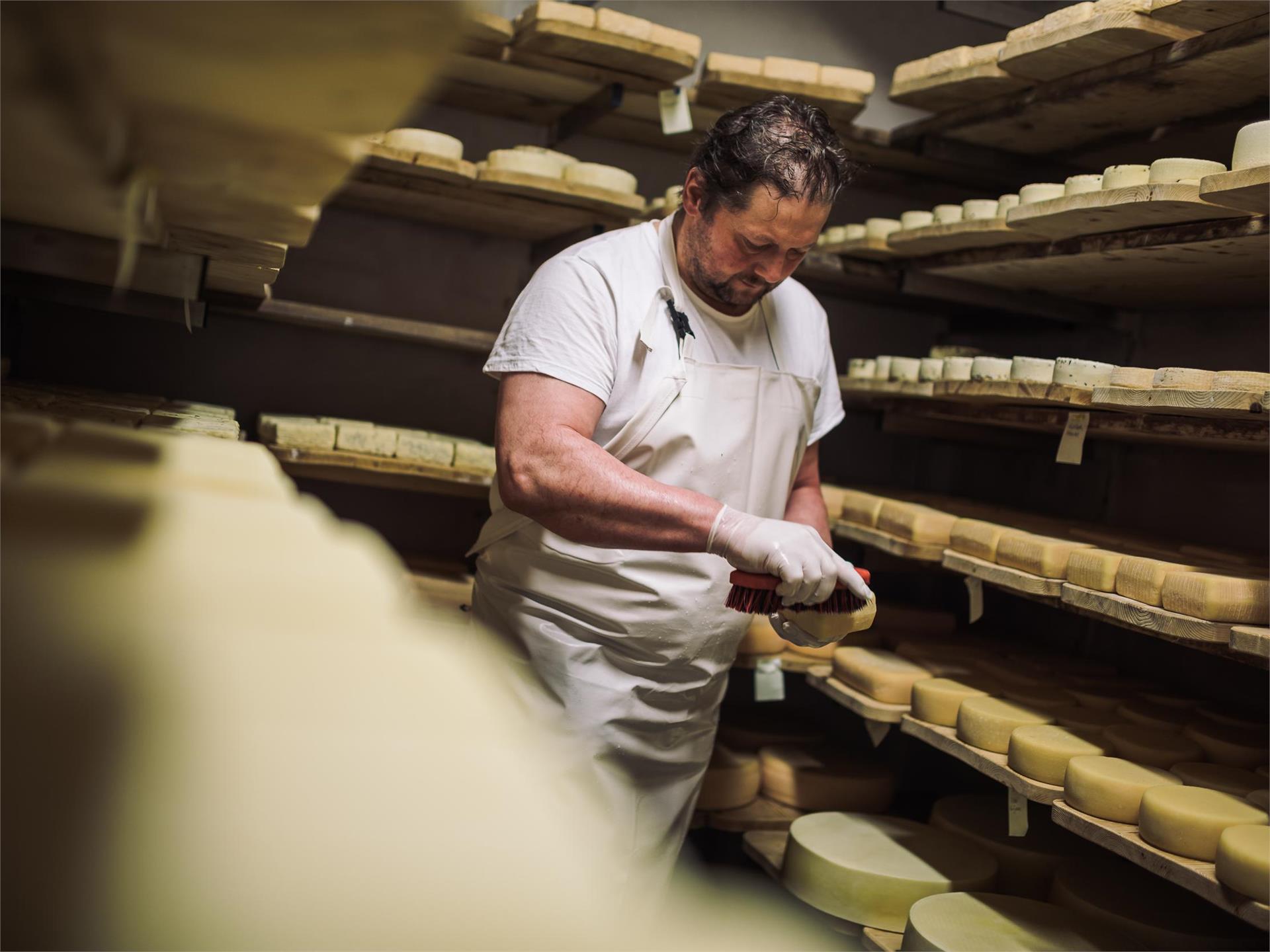 Hochgruberhof cheese dairy Mühlwald/Selva dei Molini 3 suedtirol.info