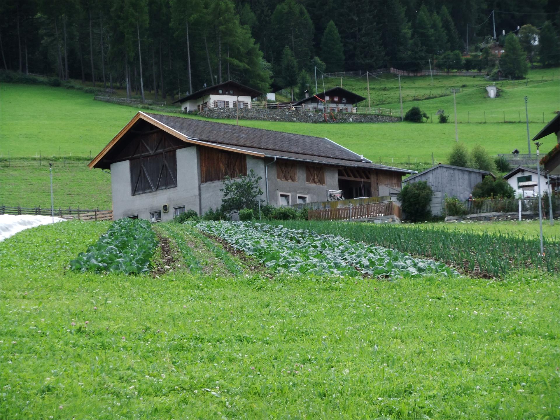 Farm shop Mairinghof Schlanders/Silandro 1 suedtirol.info