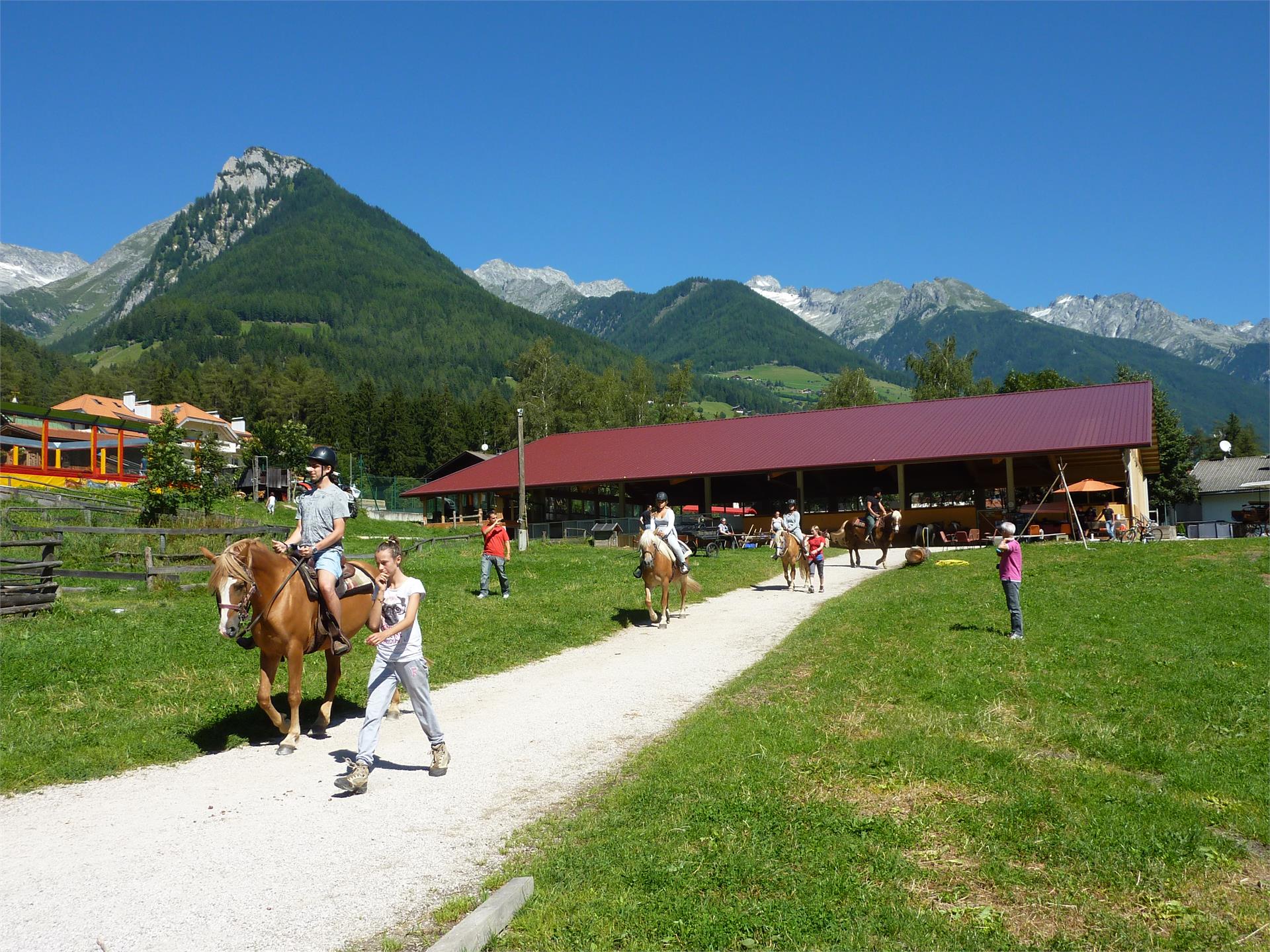 Herberts Reitstall Ahrntal 1 suedtirol.info