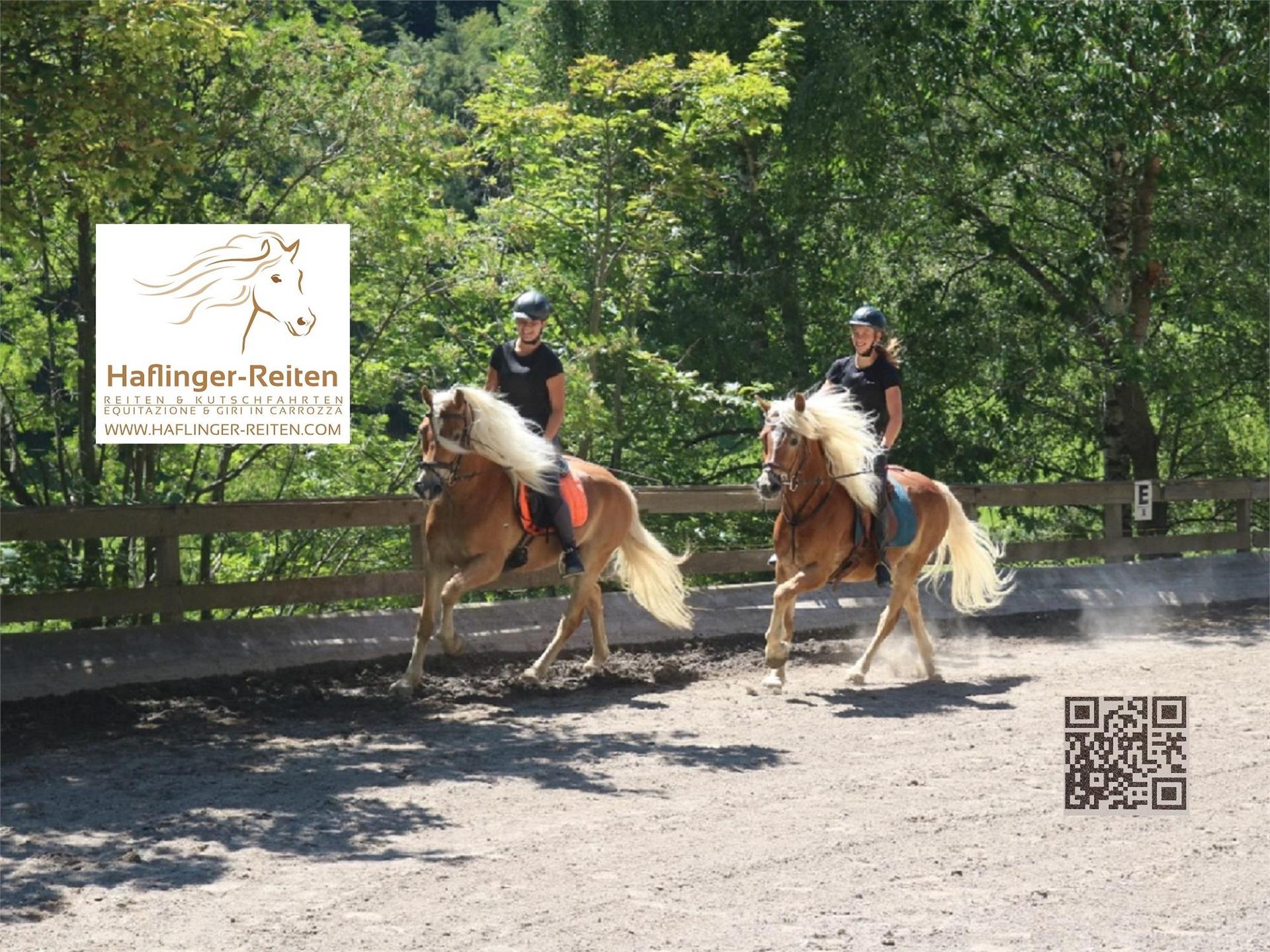 Haflinger-Reiten Jenesien 5 suedtirol.info