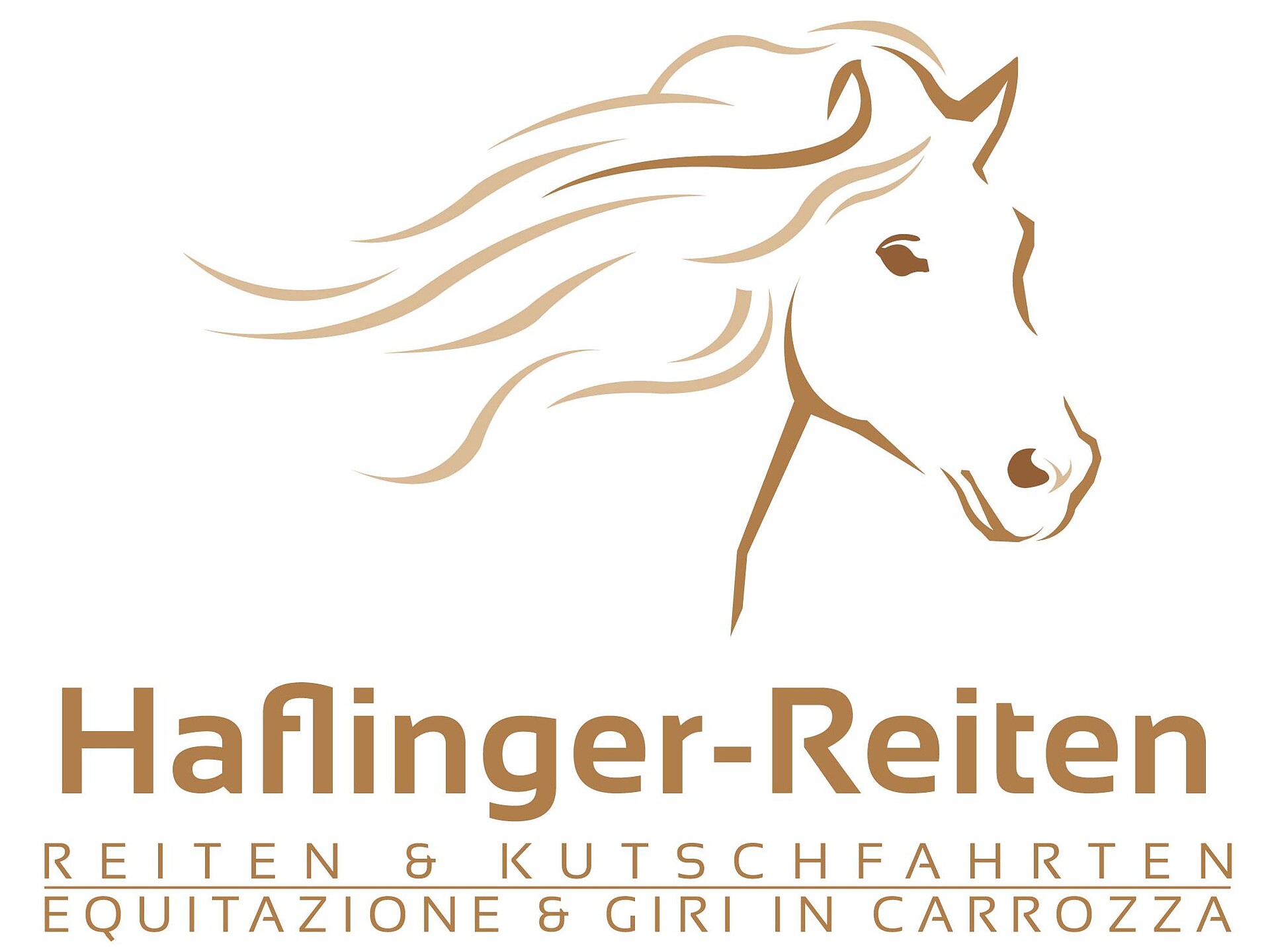 Haflinger-Reiten - Bolzano/Bozen and environs - #2 - suedtirol.info