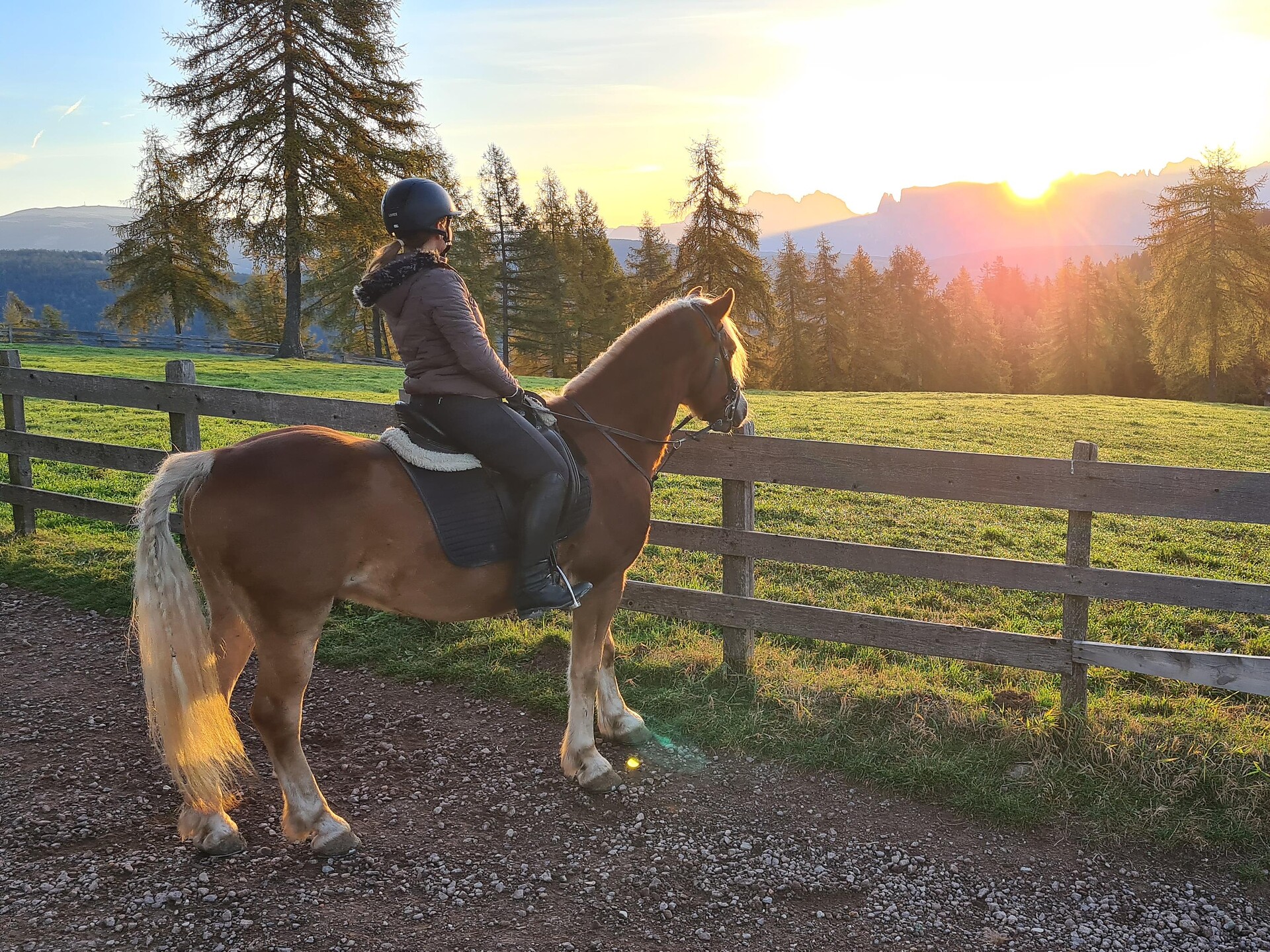 Haflinger-Reiten - Bolzano/Bozen and environs - #1 - suedtirol.info