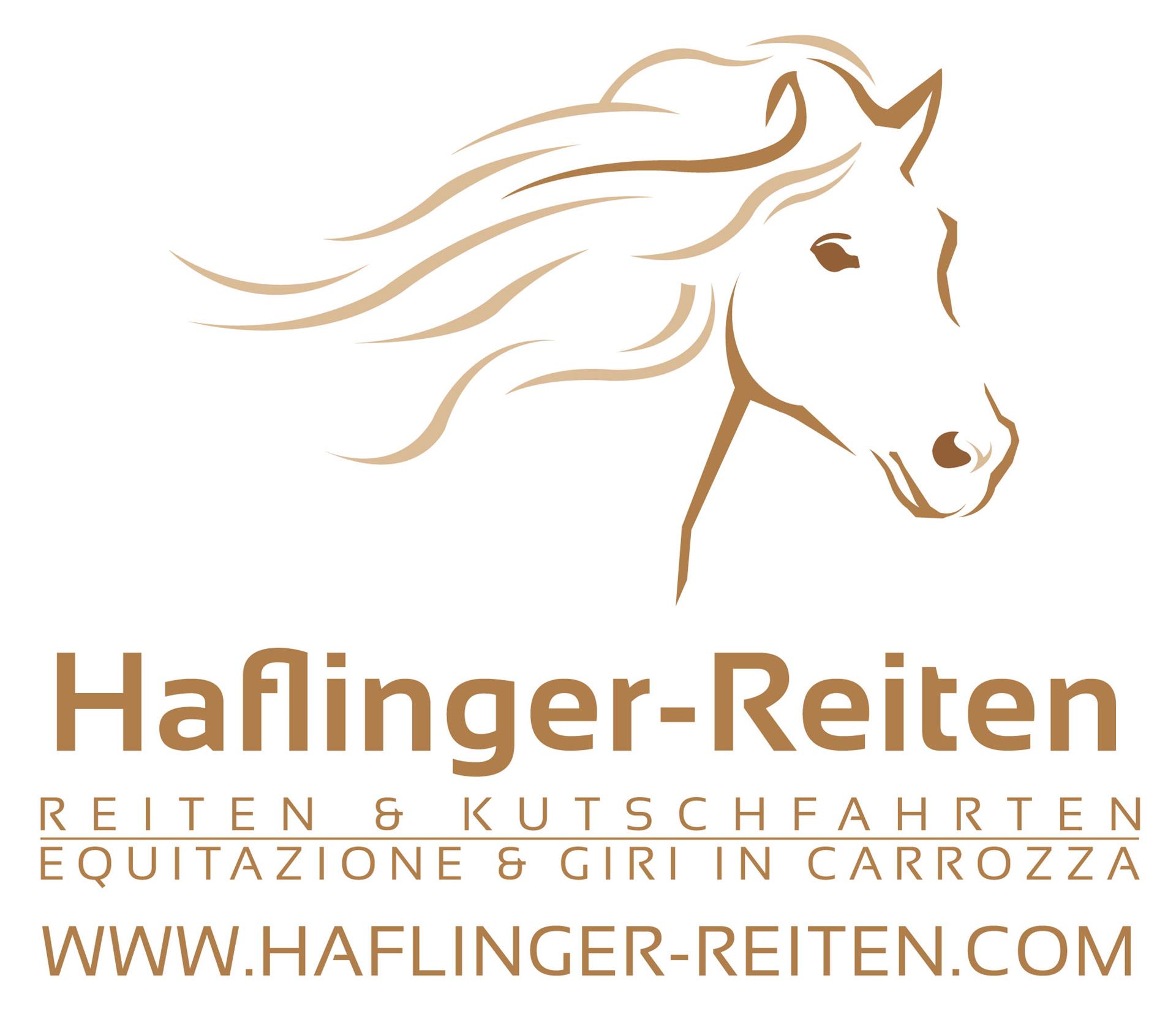Haflinger-Reiten Jenesien 4 suedtirol.info