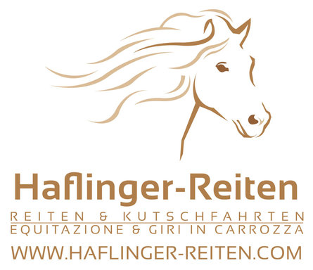 Haflinger-Reiten Jenesien/San Genesio Atesino 4 suedtirol.info