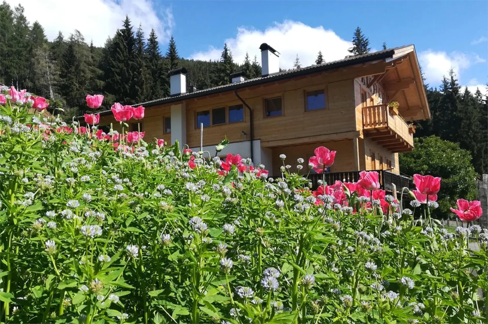 Esserhüttl Farm shop St.Pankraz/San Pancrazio 1 suedtirol.info