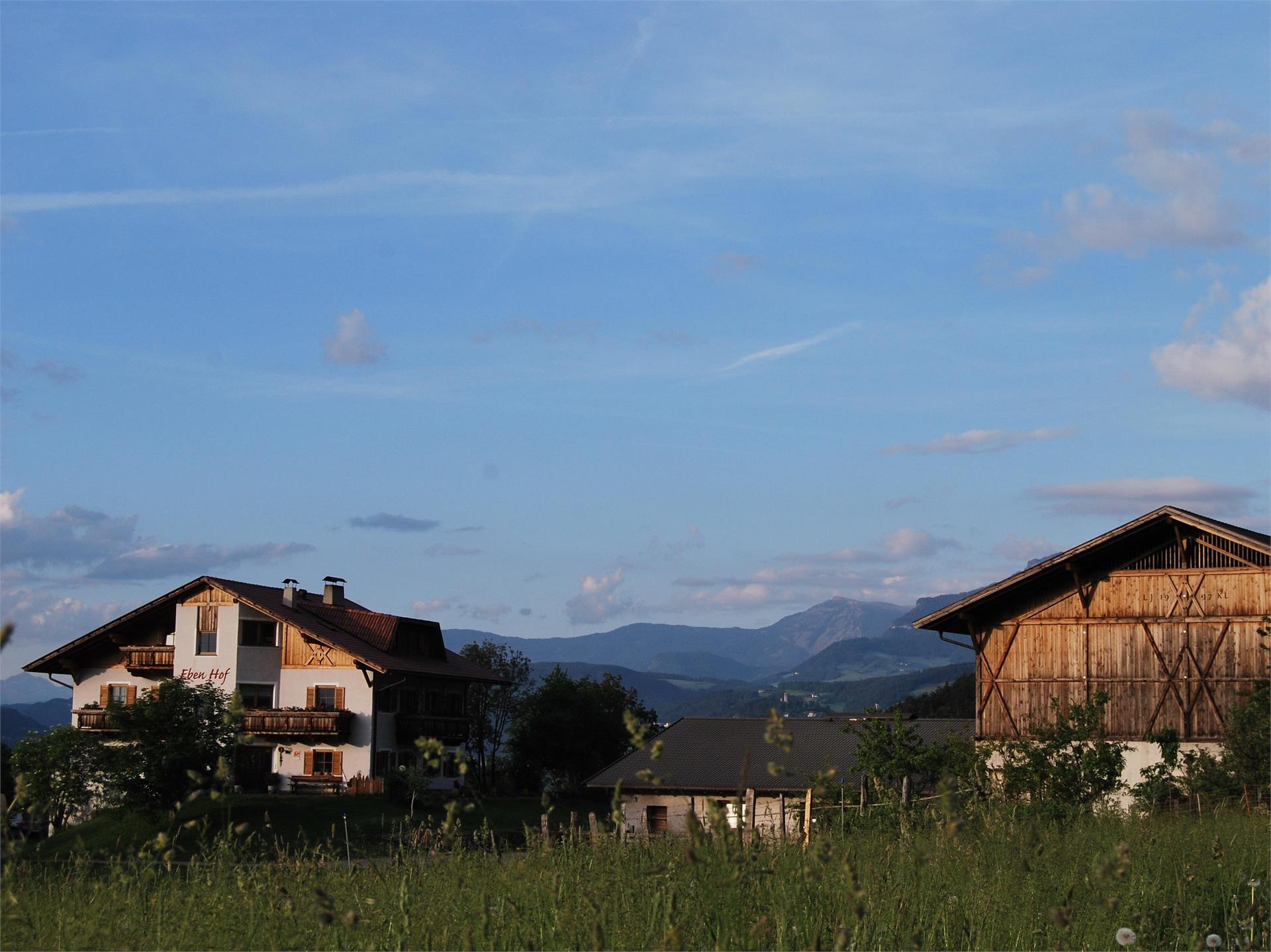 Cheese dairy farm Ebenhof Karneid/Cornedo all'Isarco 2 suedtirol.info