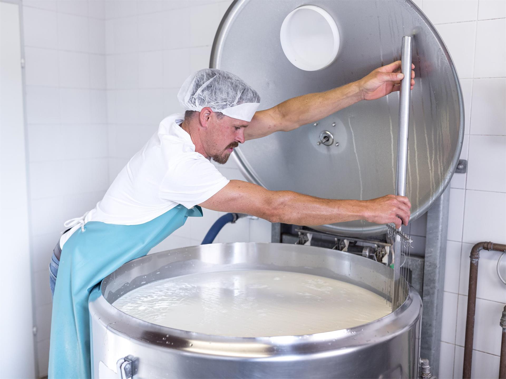 Cheese dairy farm Ebenhof Karneid/Cornedo all'Isarco 4 suedtirol.info