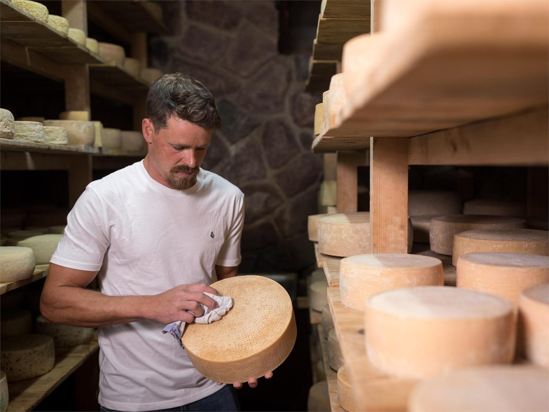 Cheese dairy farm Ebenhof Karneid/Cornedo all'Isarco 5 suedtirol.info
