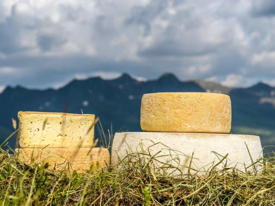 Hofkäserei Waldsamerhof Gsies 1 suedtirol.info