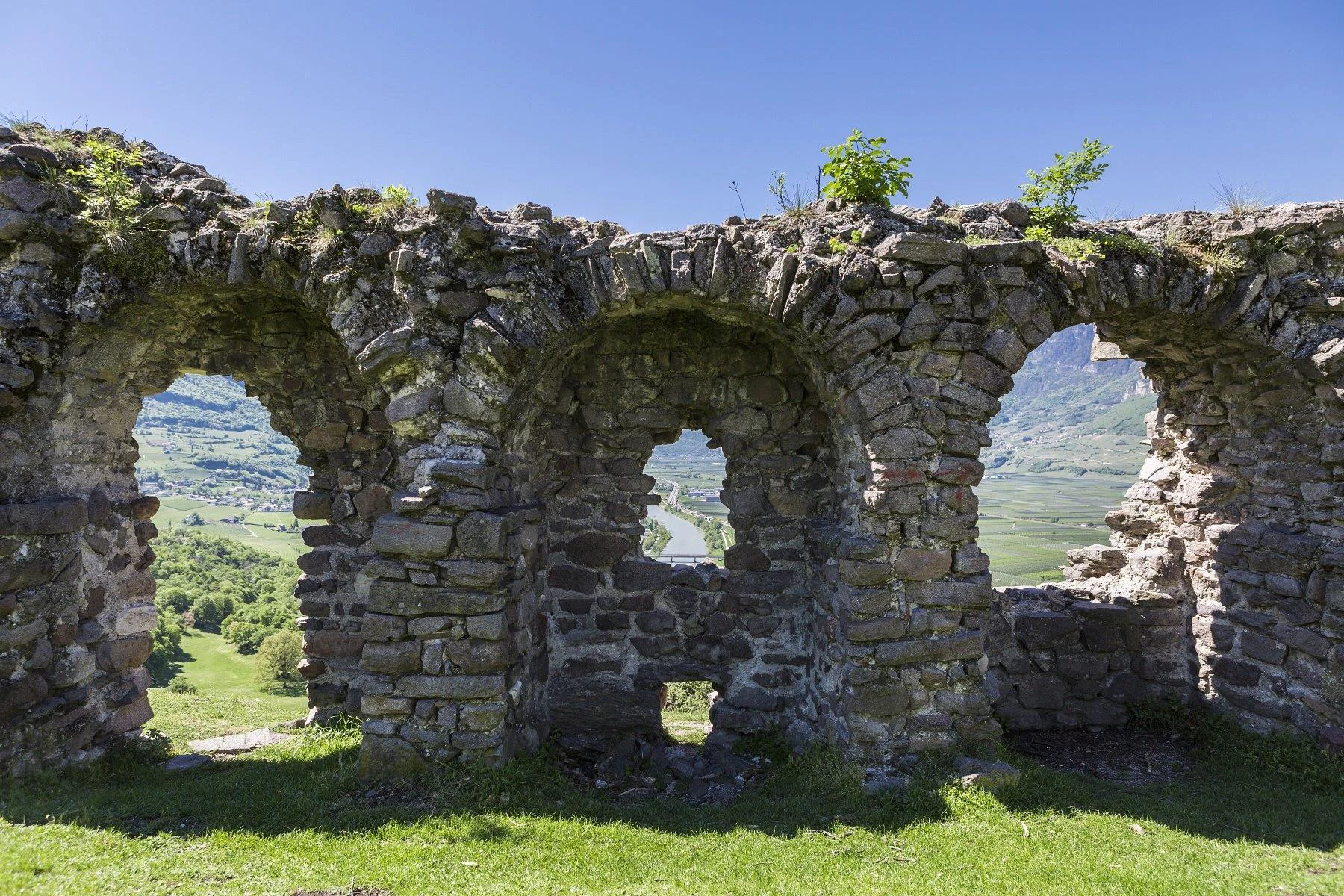 Collina Castelfeder Montagna 1 suedtirol.info