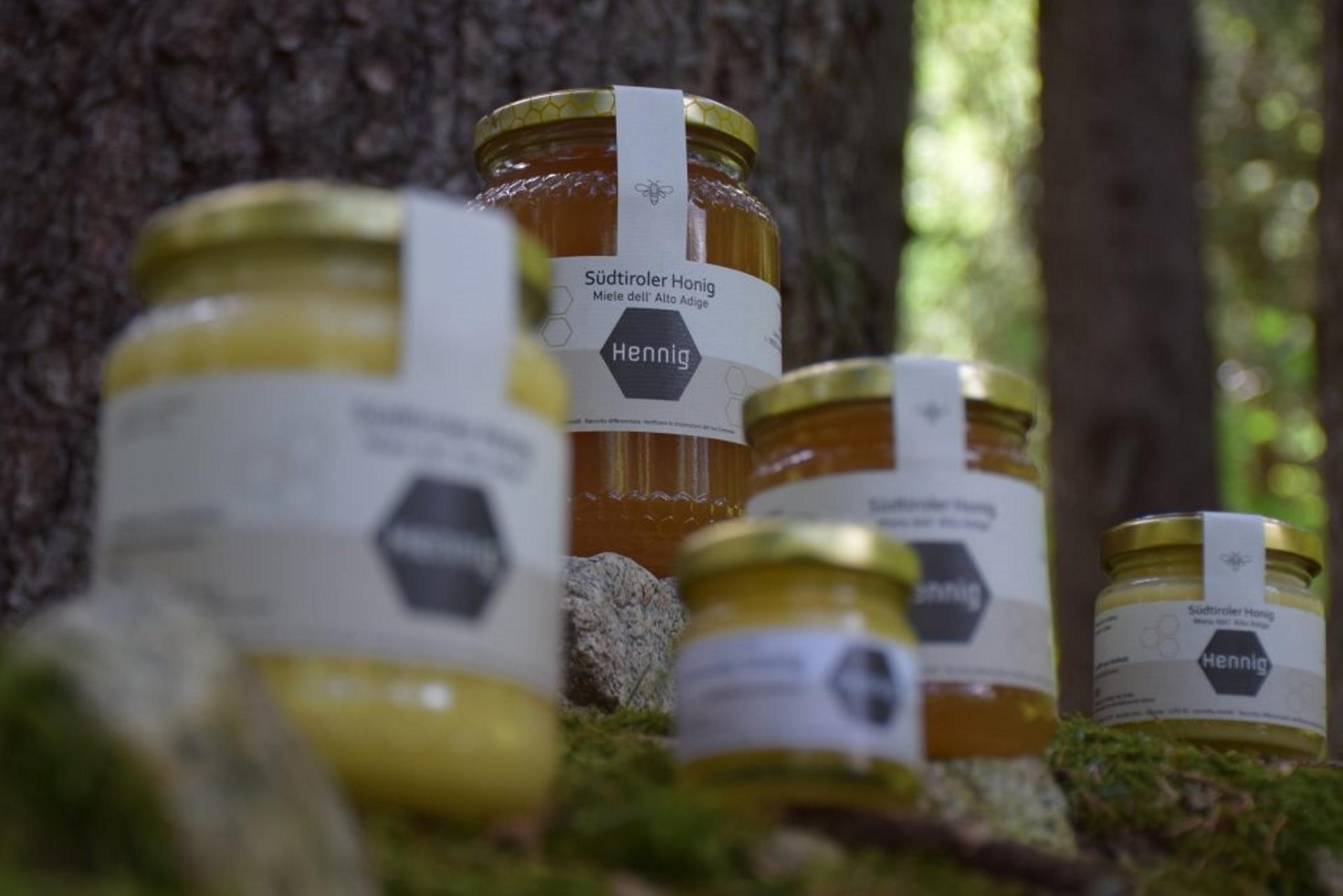 Apiculture Berger Edmund Rasen-Antholz/Rasun Anterselva 1 suedtirol.info