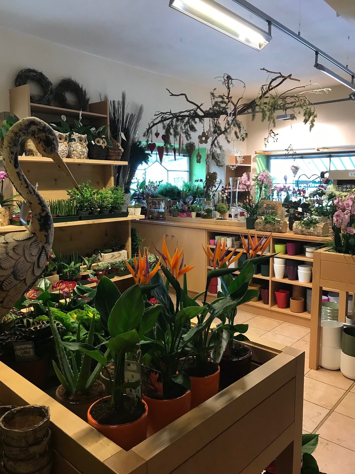 Irmisart Flower & Decor in Badia