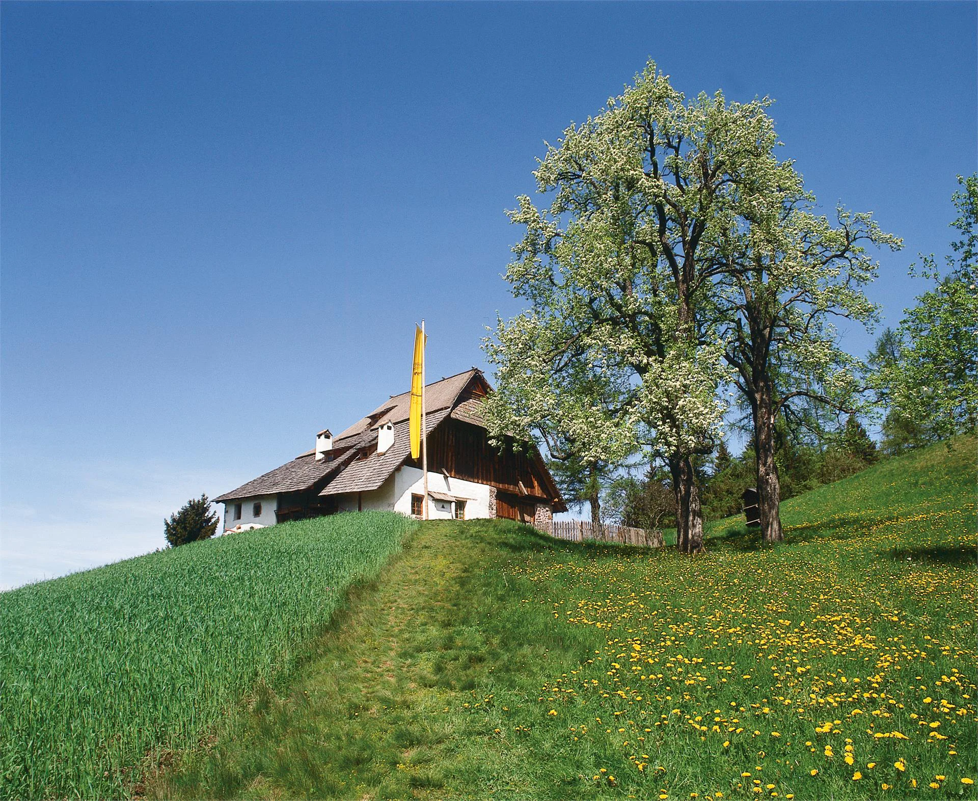 Museo dell´apicoltura Maso Plattner Renon 2 suedtirol.info