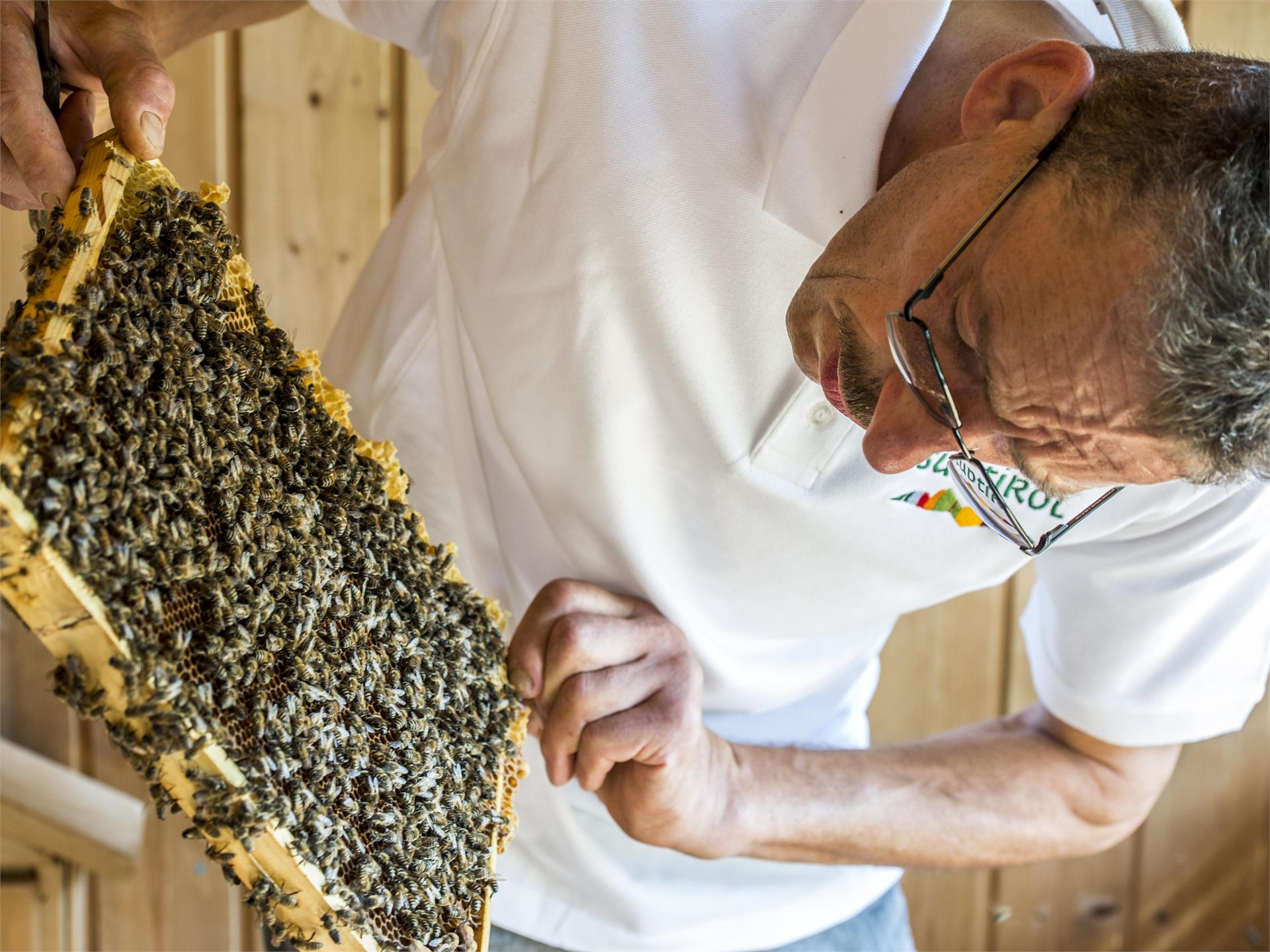 Apiary Josef Rinner - Hotel Birkenbrunn Natz-Schabs/Naz-Sciaves 2 suedtirol.info