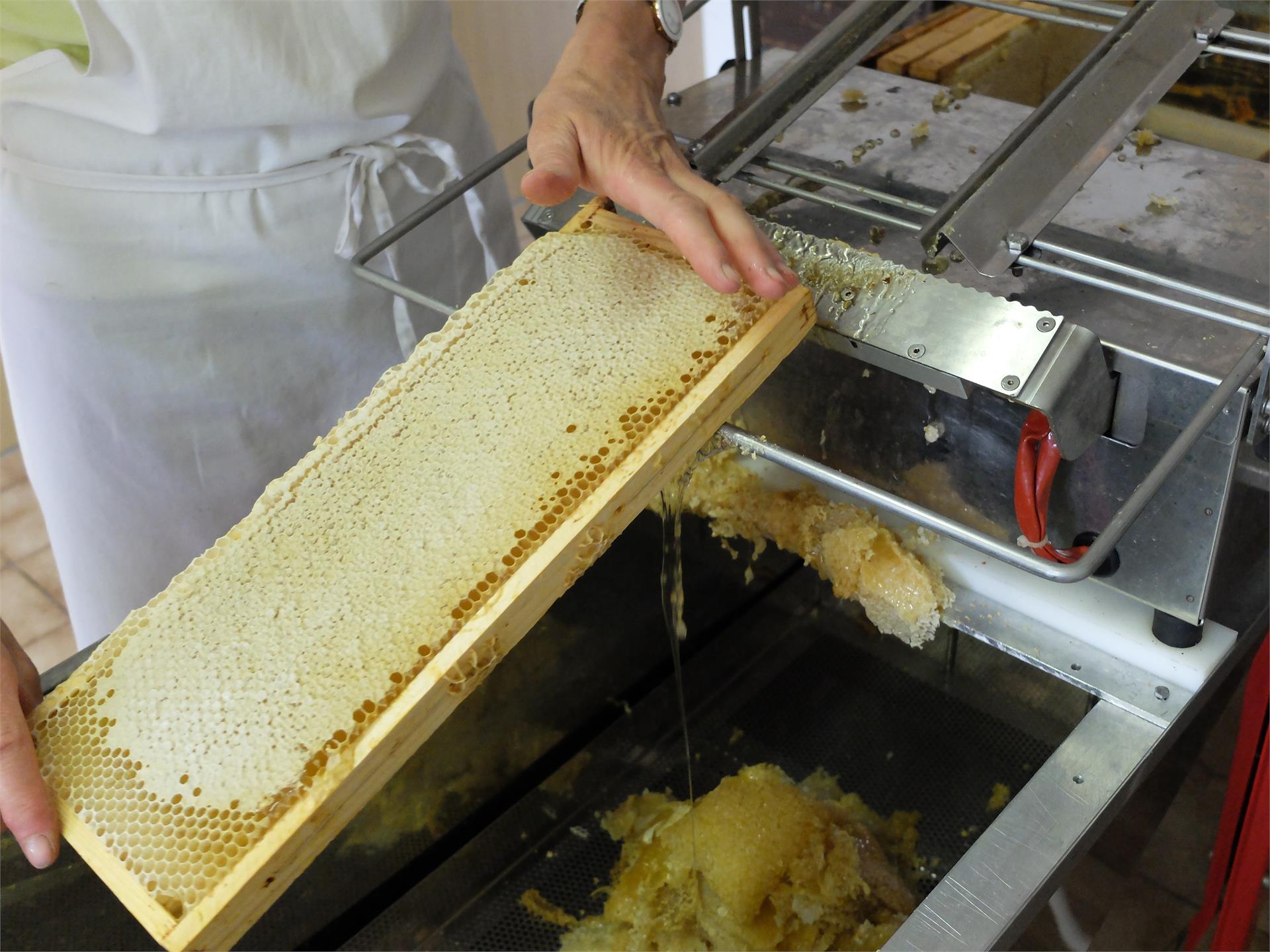 Apiary Josef Rinner - Hotel Birkenbrunn Natz-Schabs/Naz-Sciaves 5 suedtirol.info
