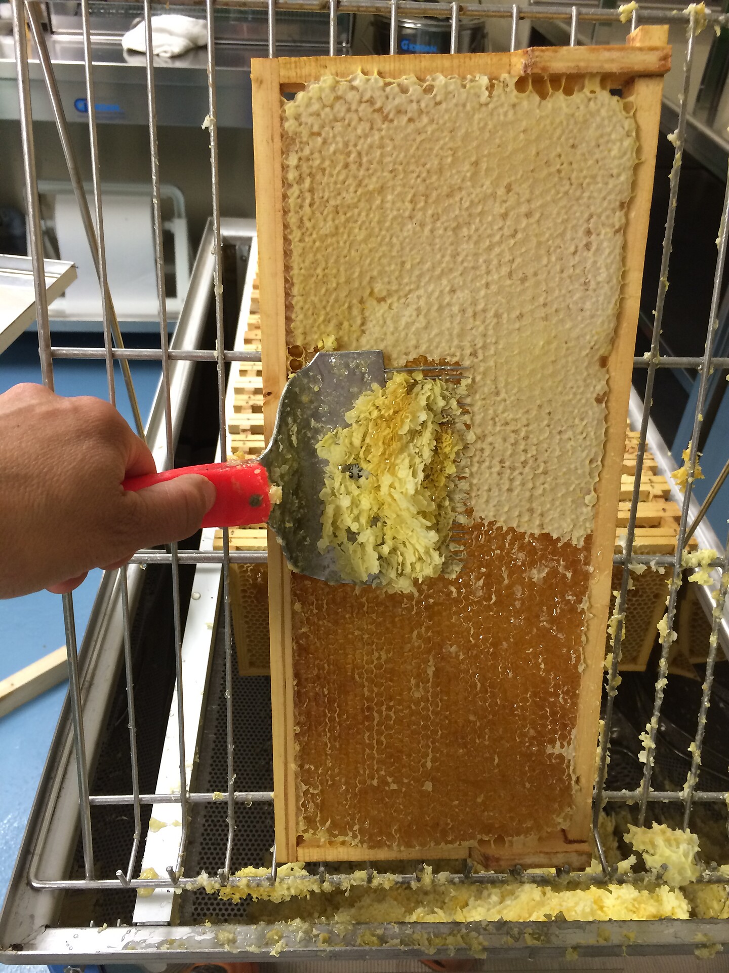 Beekeeping Troger Kofler