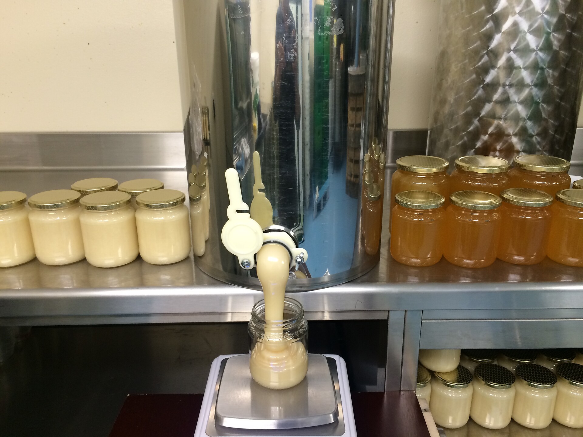 Beekeeping Troger Kofler
