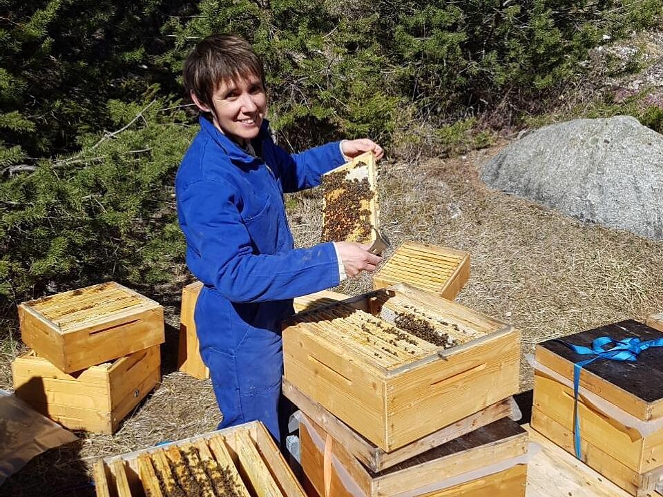 Beekeping Troger Kofler