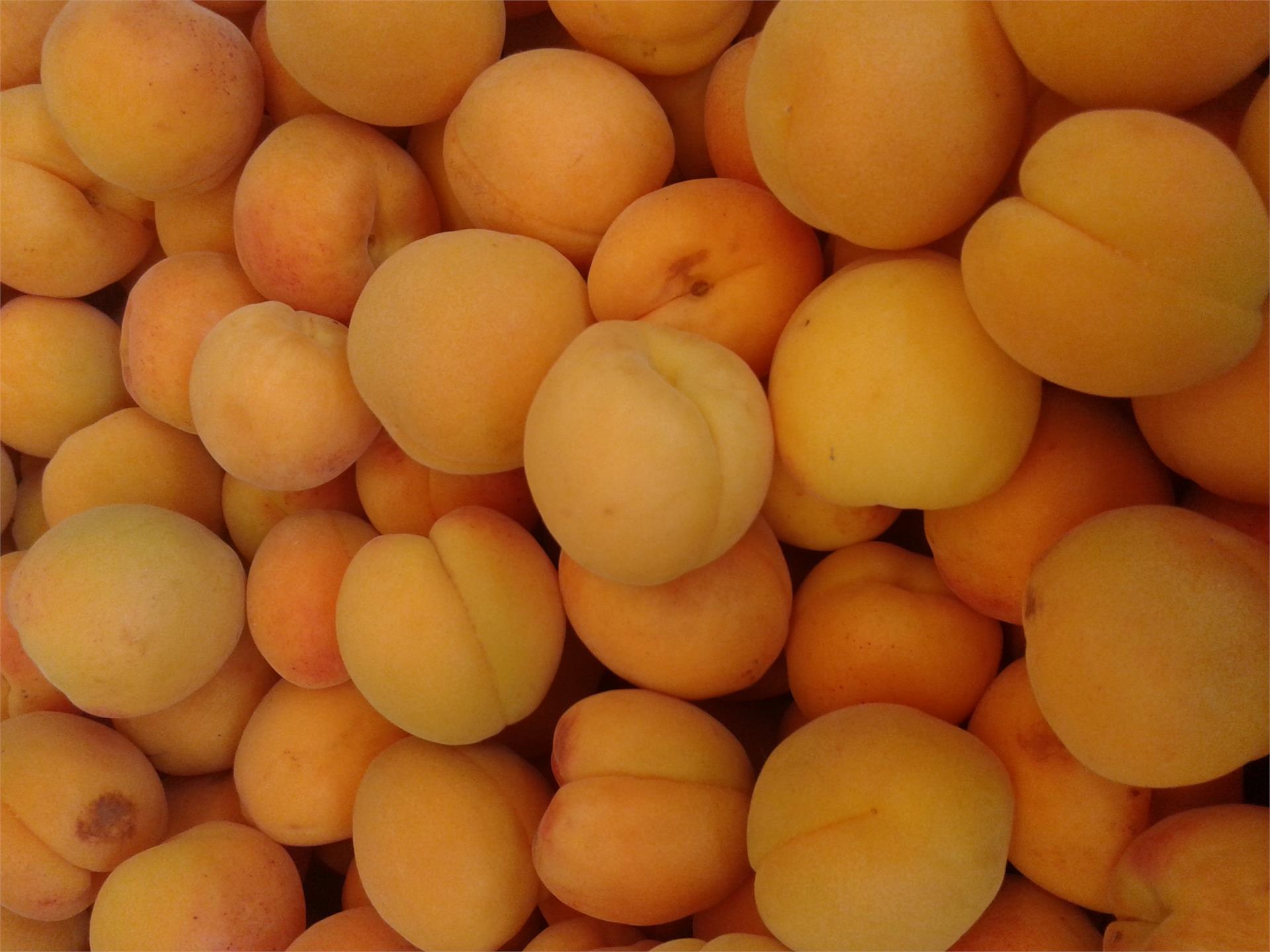 JUVAL-soc.agricola coop. frutticoltori Castelbello-Ciardes-Stava Castelbello-Ciardes 3 suedtirol.info