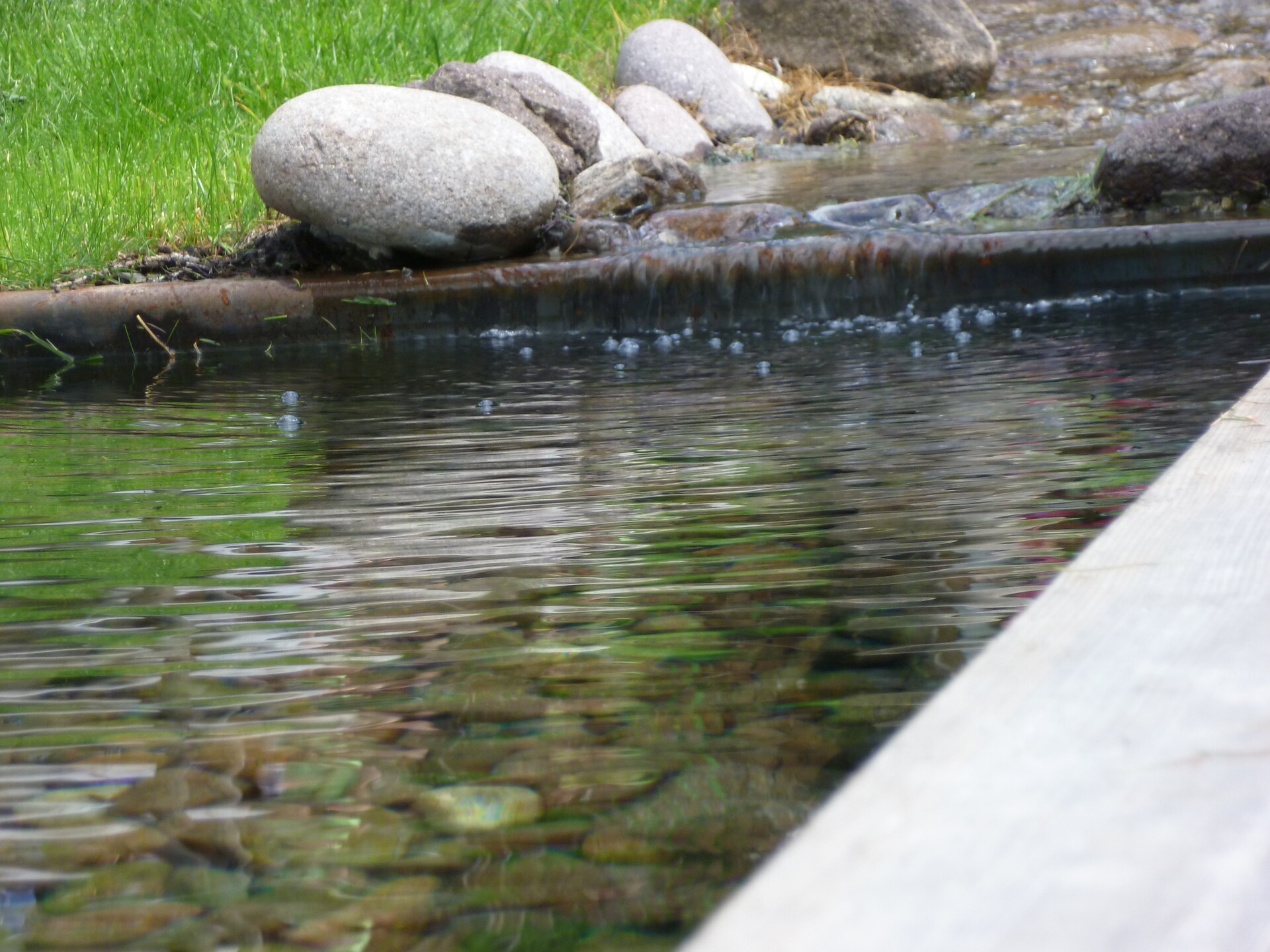 Sentiero Kneipp a Trodena nel Parco Naturale Trodena 4 suedtirol.info
