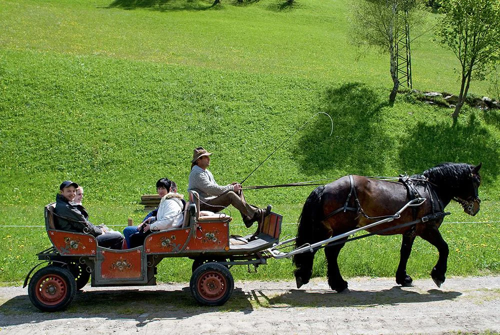 Horse carriage and sleigh rides Obergruberhof Ahrntal/Valle Aurina 1 suedtirol.info
