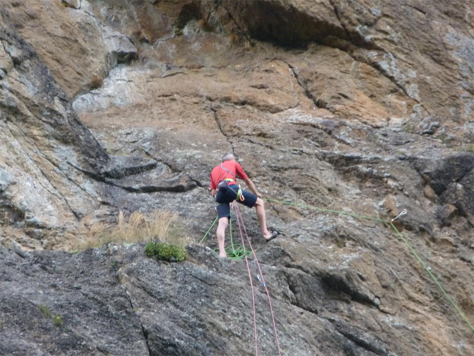 Climbing garden Mastaun Schnals/Senales 3 suedtirol.info