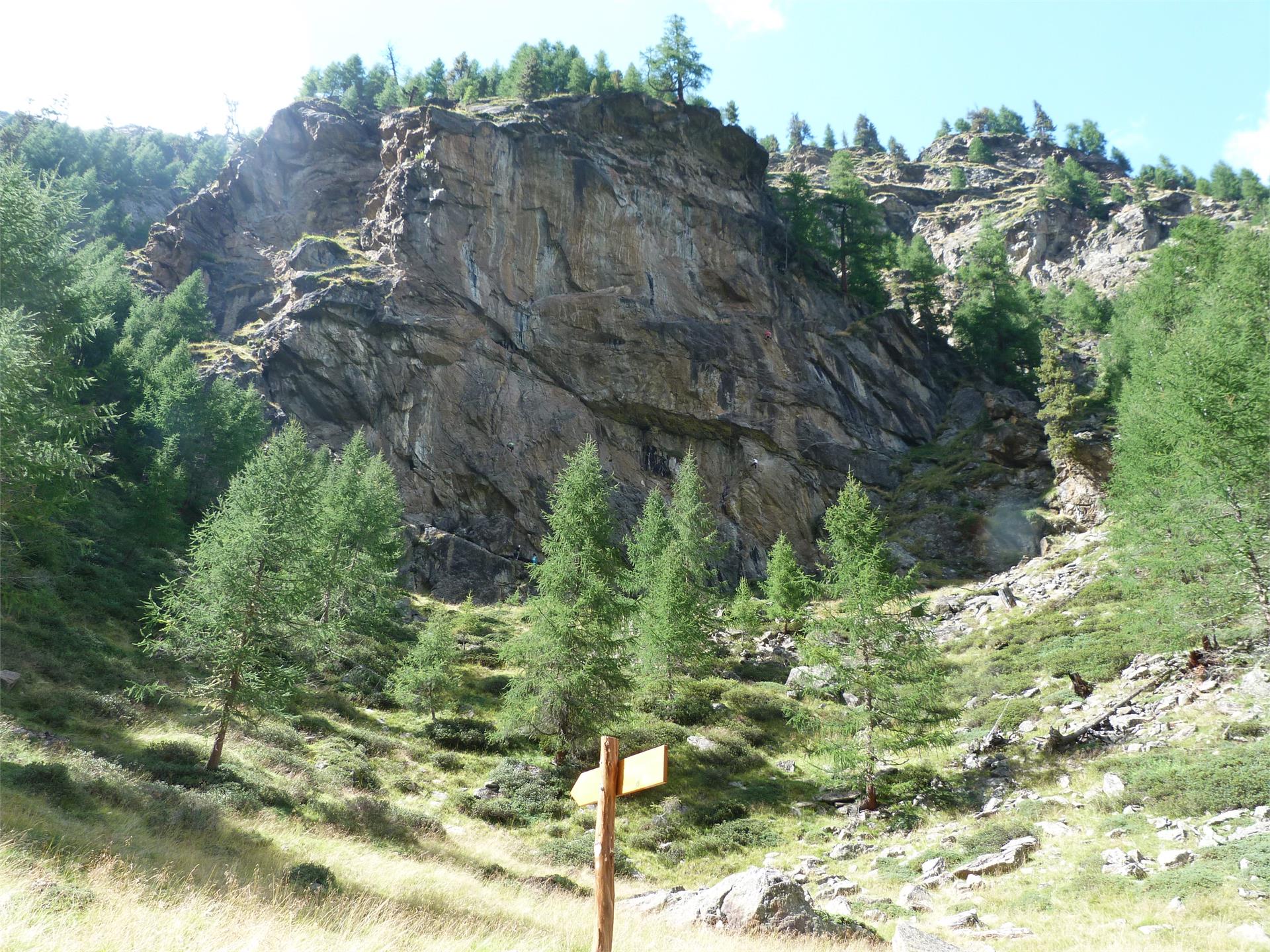 Climbing garden Mastaun Schnals/Senales 2 suedtirol.info