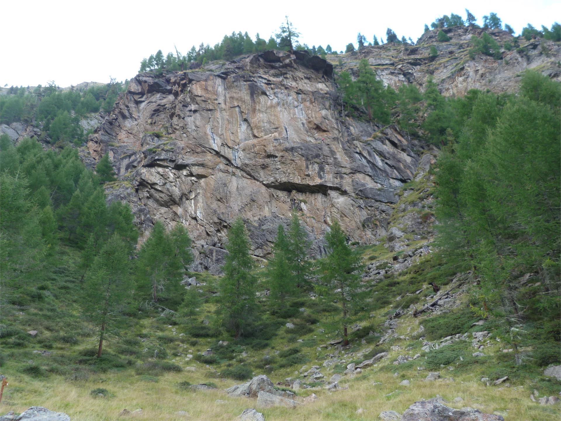 Climbing garden Mastaun Schnals/Senales 4 suedtirol.info