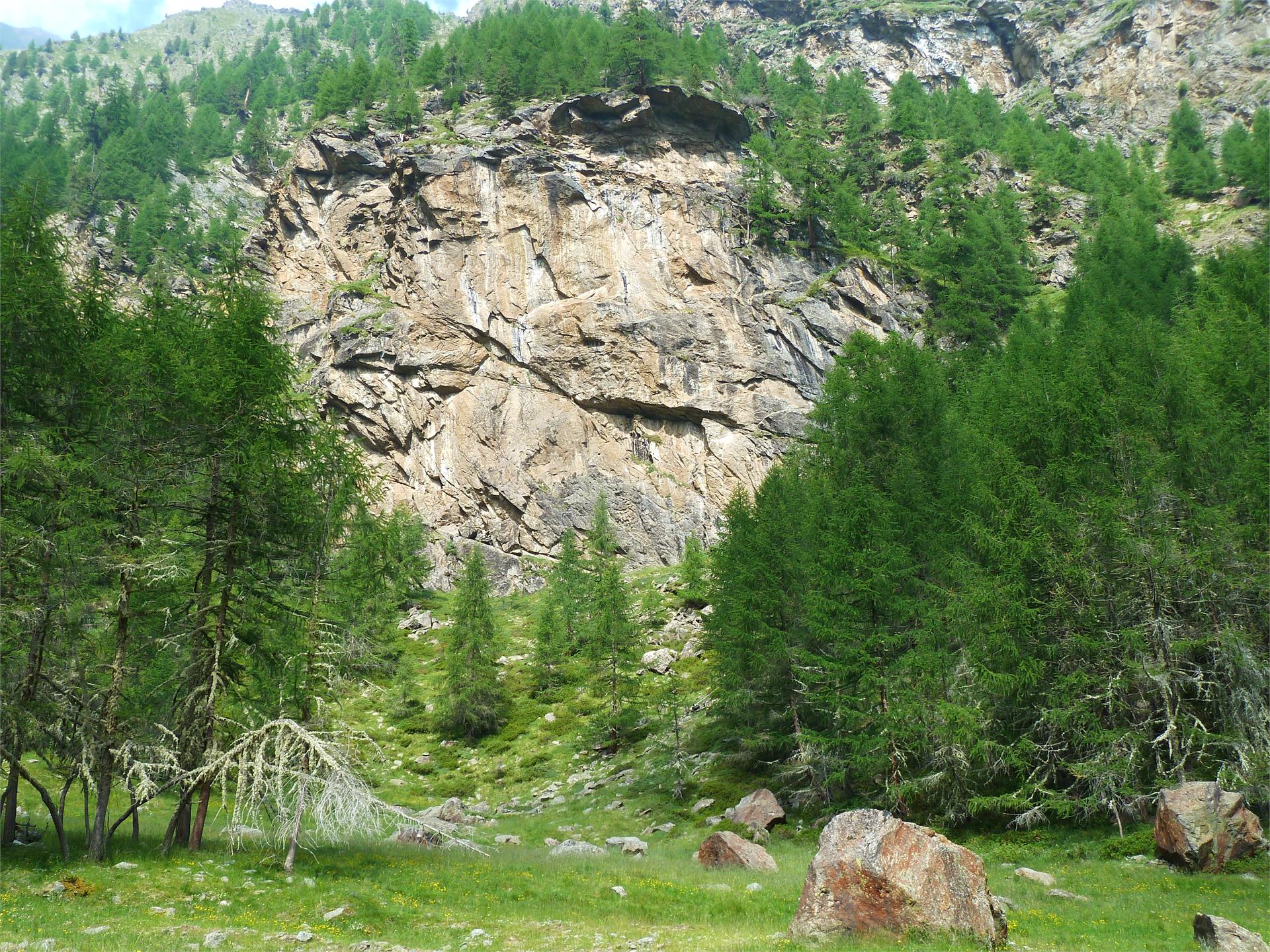 Climbing garden Mastaun Schnals/Senales 1 suedtirol.info
