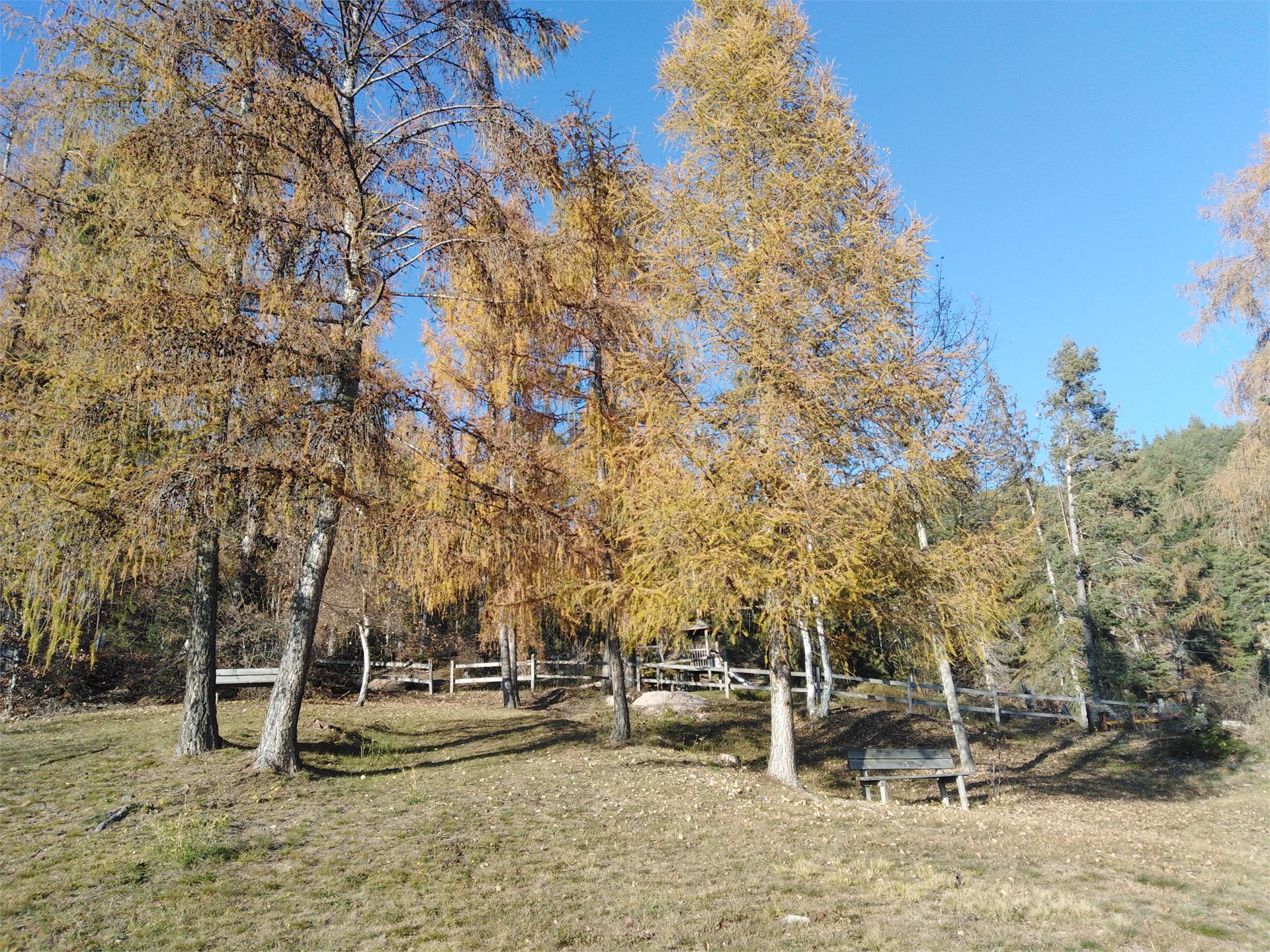 Parco giochi per bambini ad Altrei Anterivo 2 suedtirol.info
