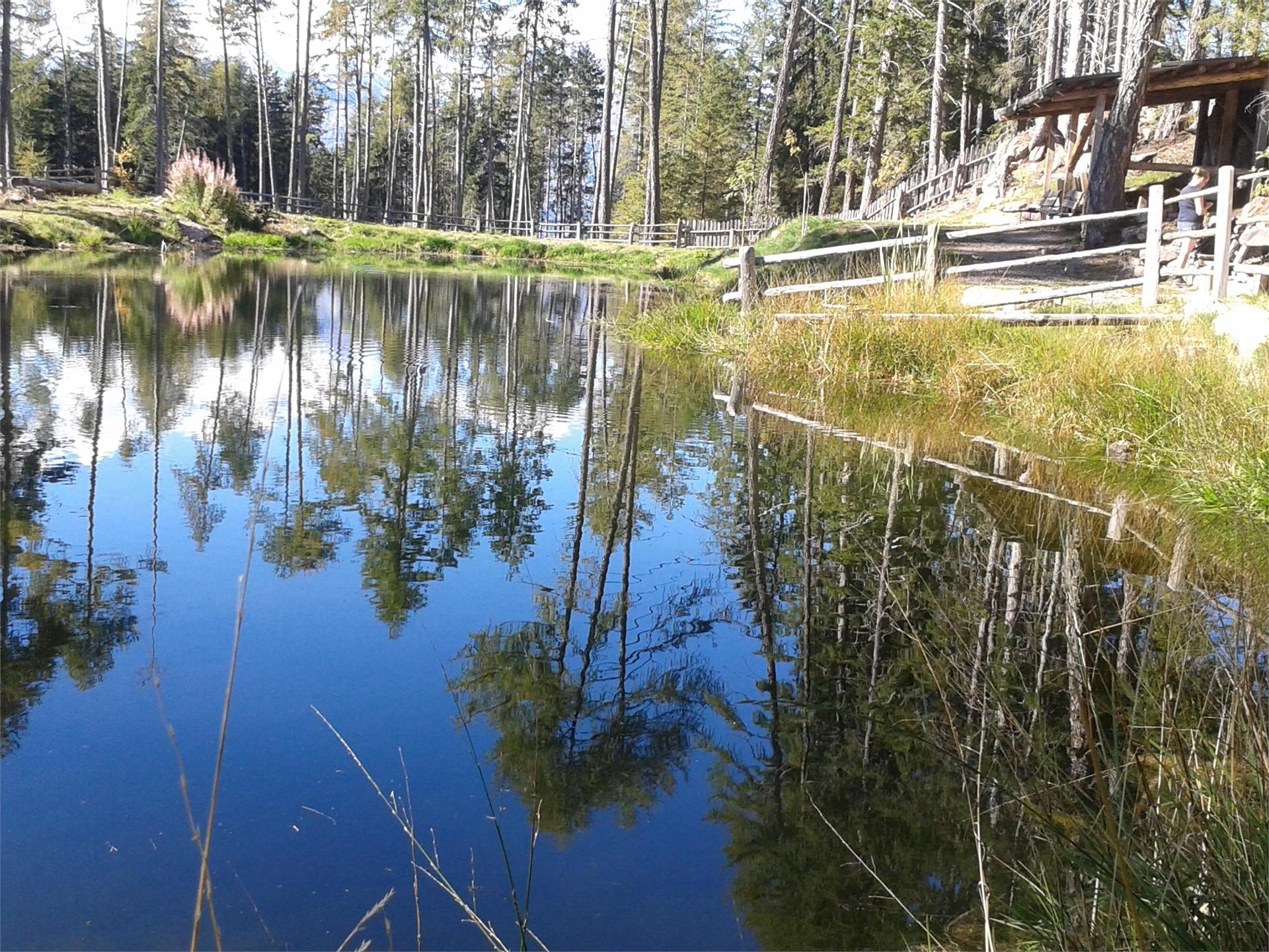 Kamper Weiher Hafling 2 suedtirol.info