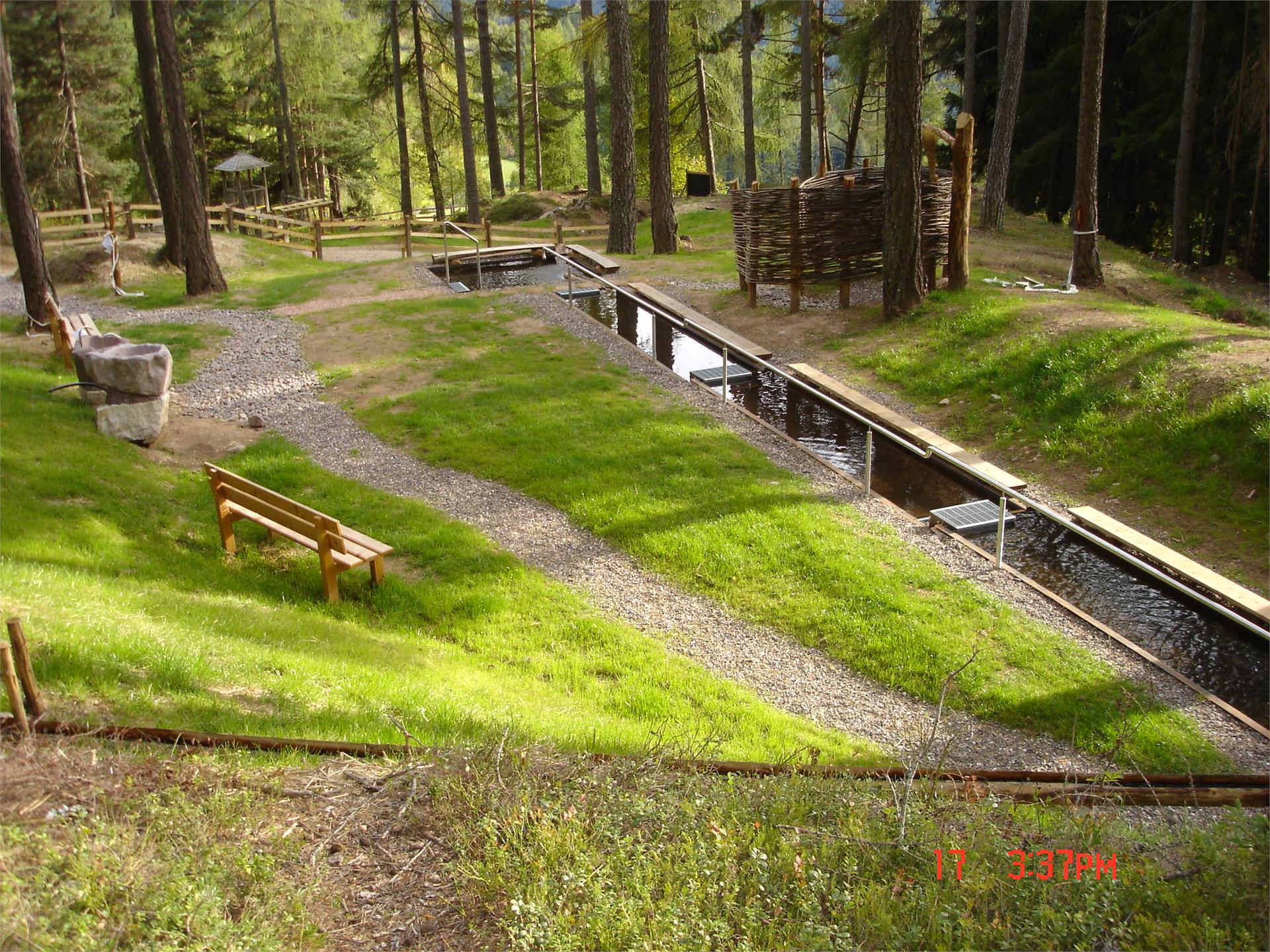 Kneipp path in Anterivo/Altrei Altrei/Anterivo 4 suedtirol.info