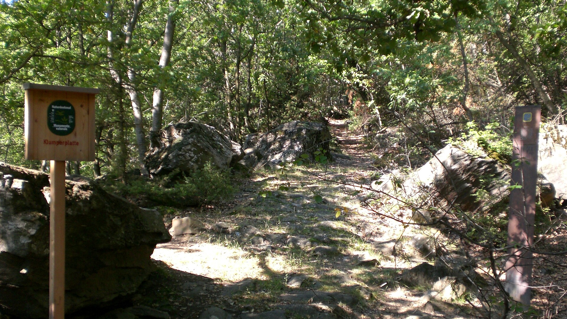 Klumperplatte