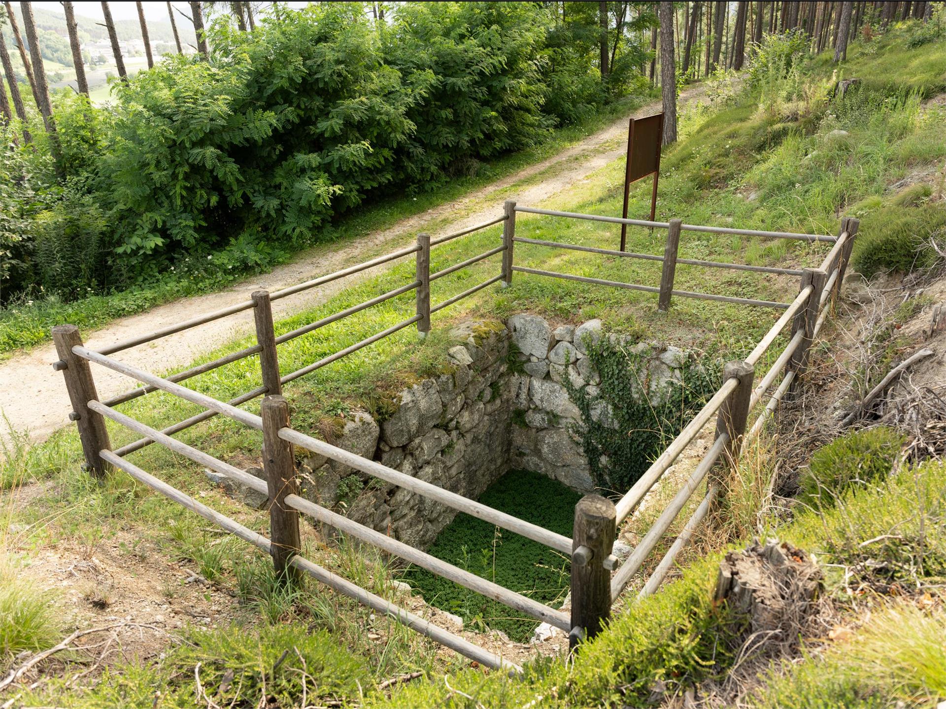 Limepits in Sciaves Natz-Schabs/Naz-Sciaves 1 suedtirol.info