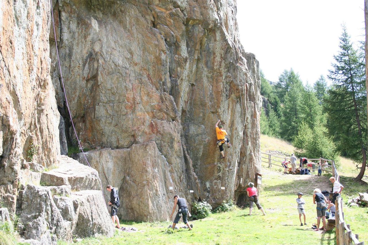 Slide 3