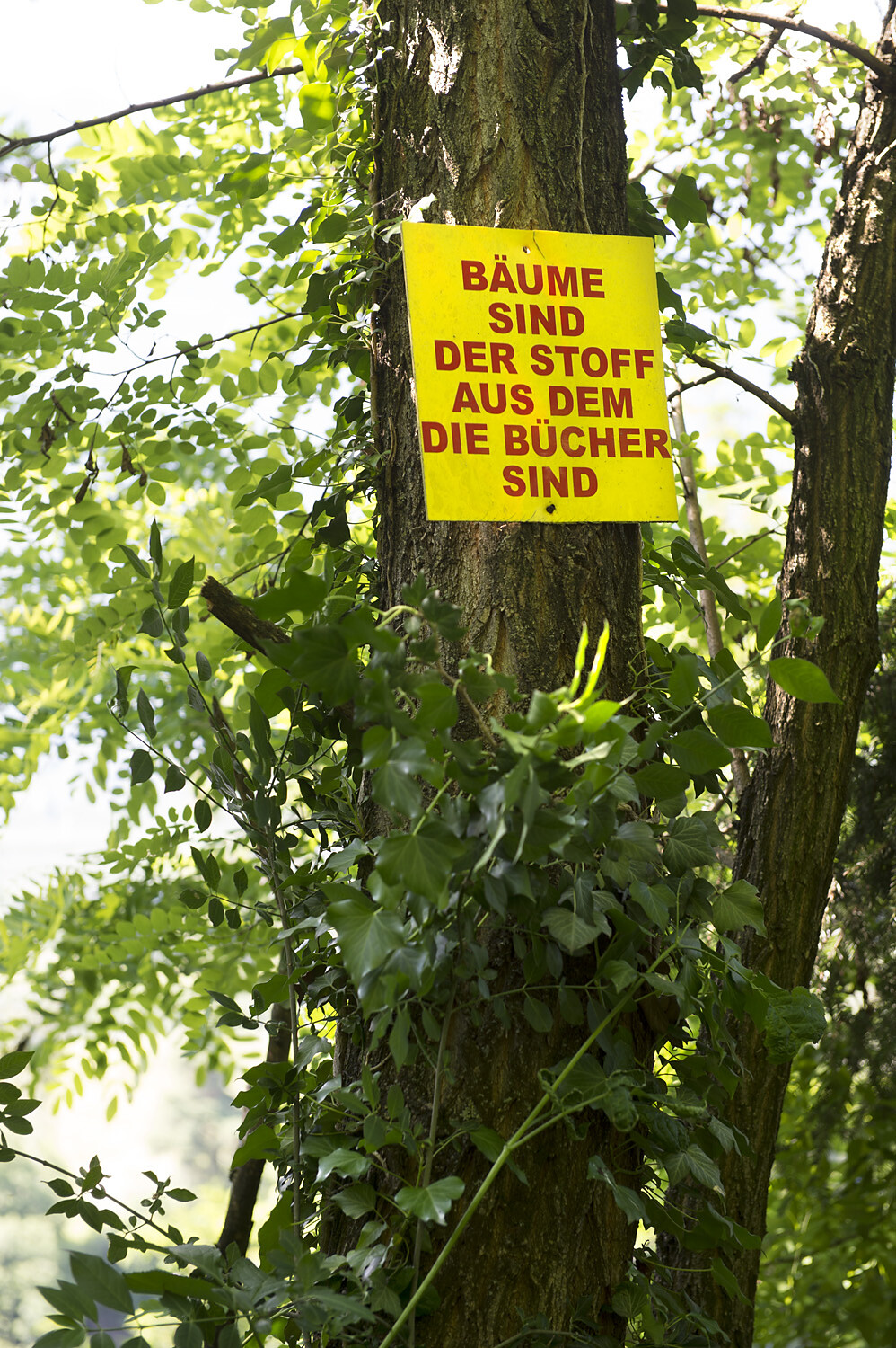 Gelände Kunstbunker