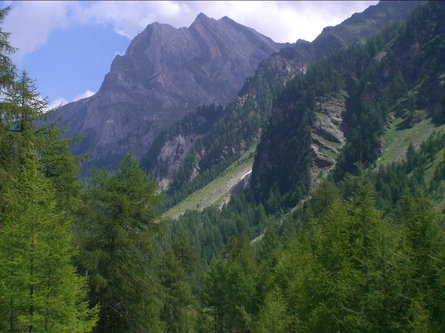 Falesia di arrampicata Nesselwand Silandro 1 suedtirol.info
