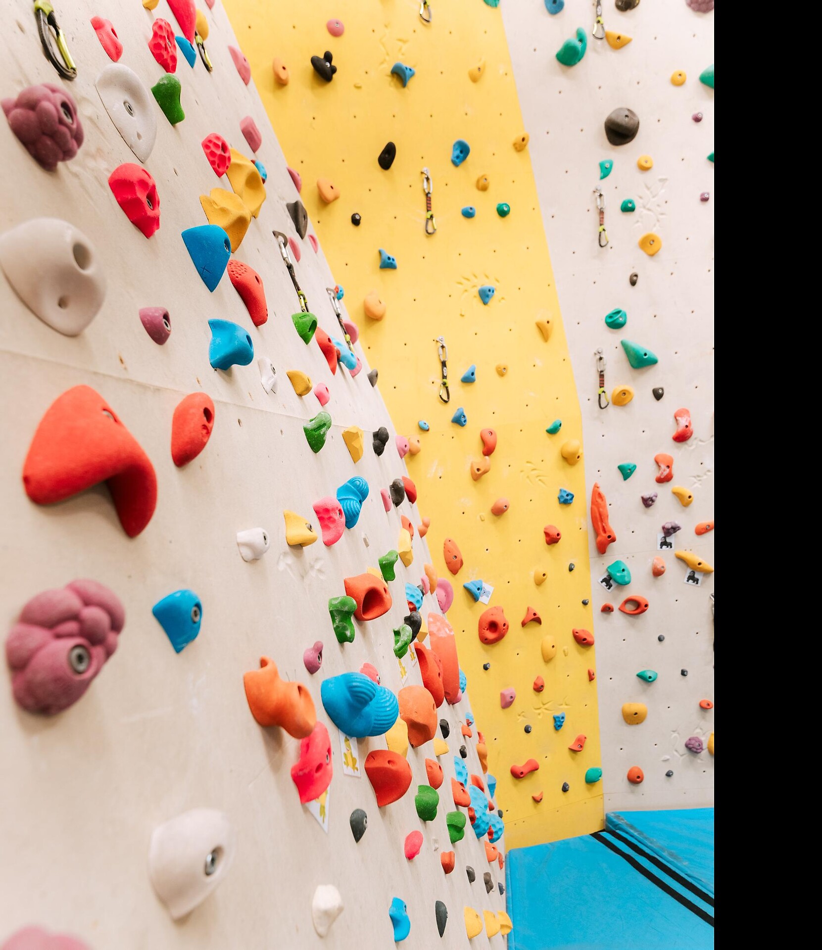 Palestra d'arrampicata a S. Leonardo